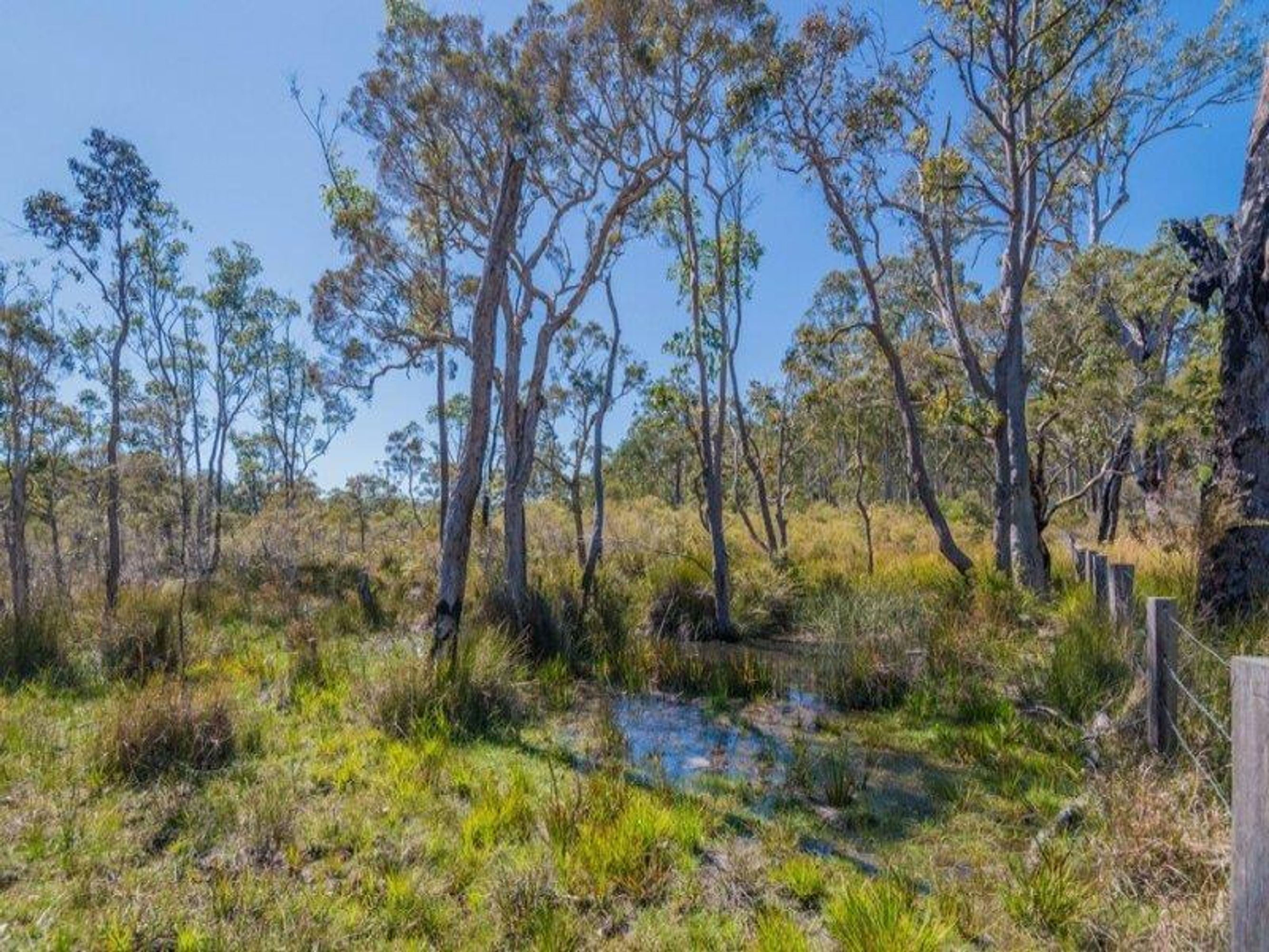 389 Wooli Road, Pillar Valley - Thumbnail 6