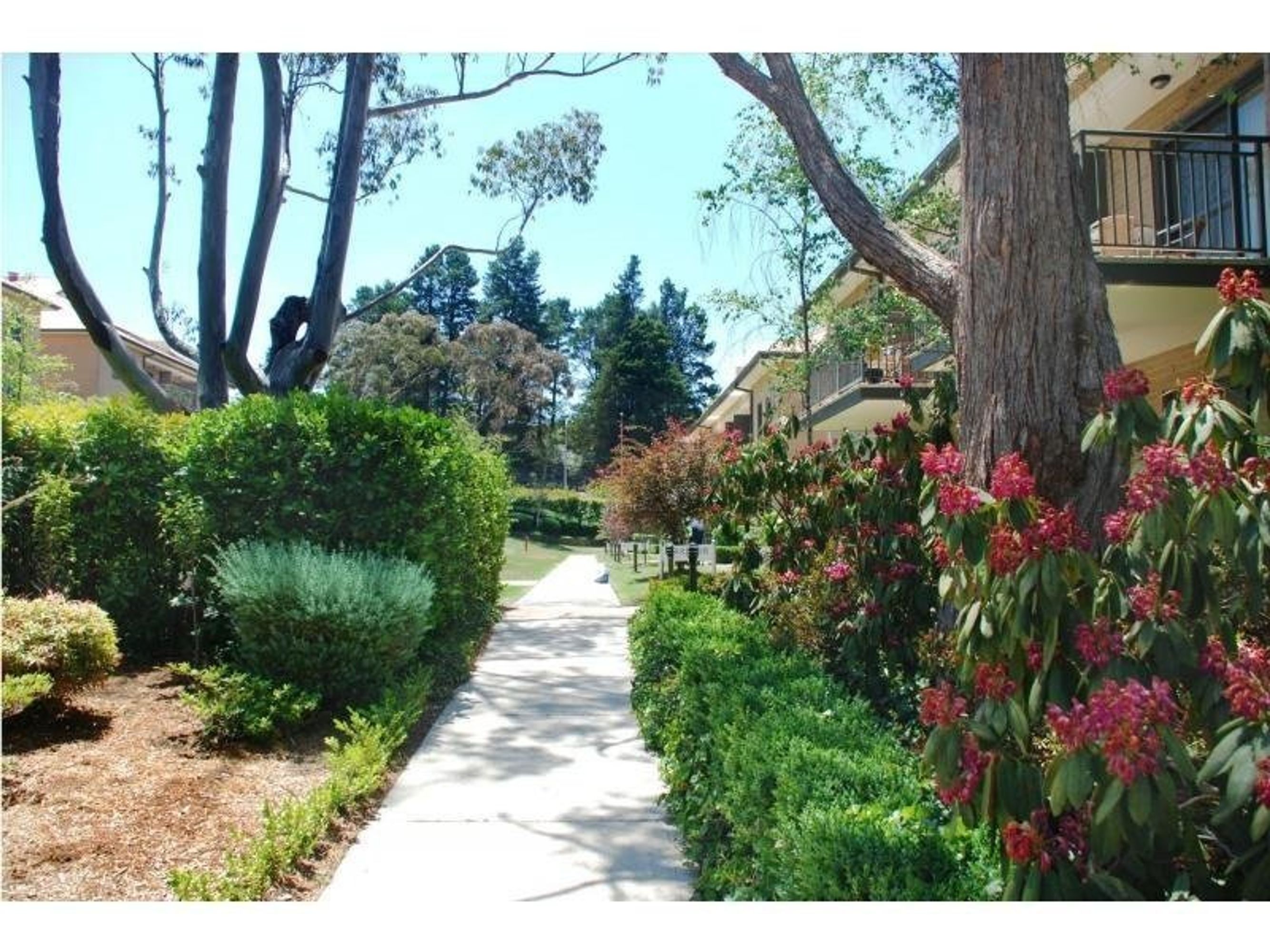 Unit 19/100-116 Leura Mall, Leura - Thumbnail 5