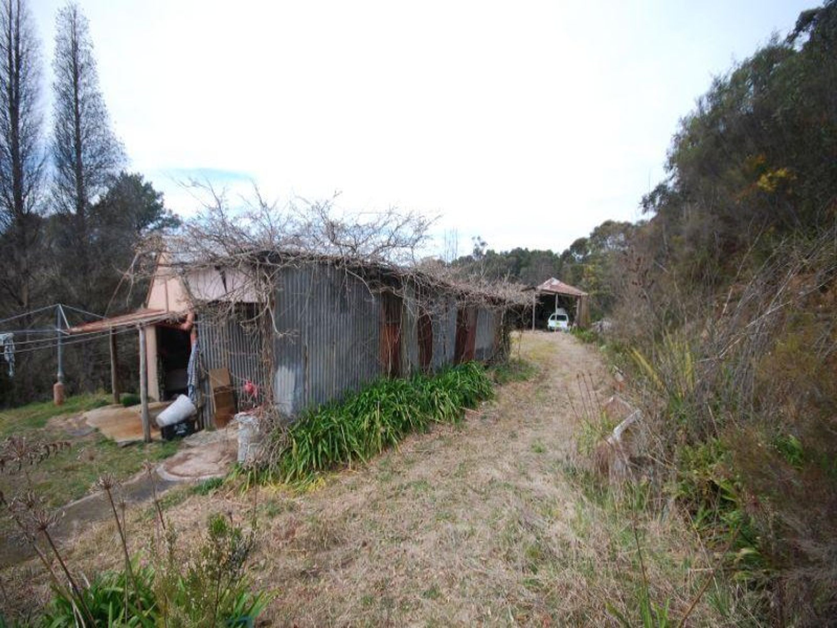 49 Queens Rd, Leura - Thumbnail 2