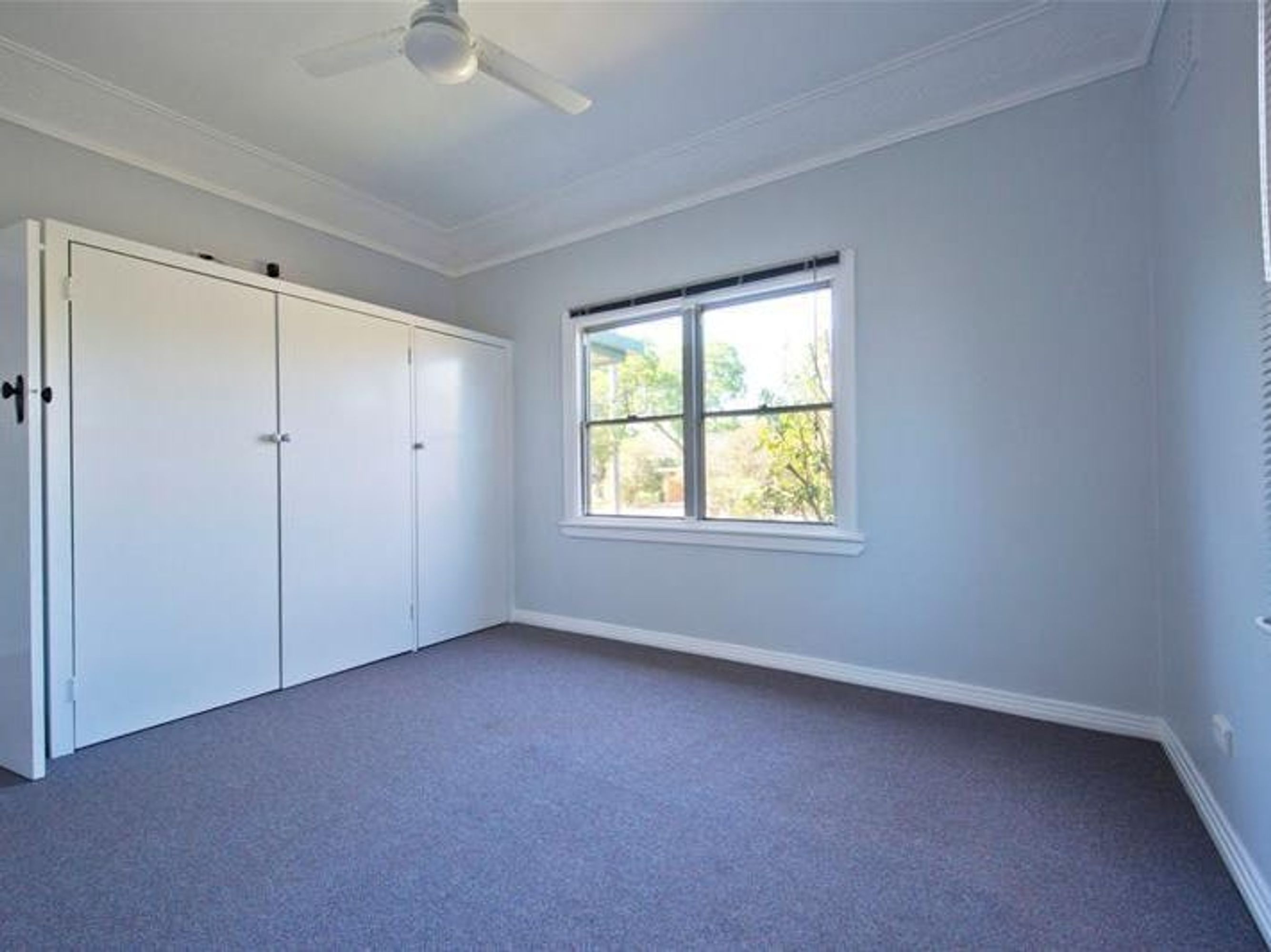 244 Bacon Street, Grafton - Thumbnail 6