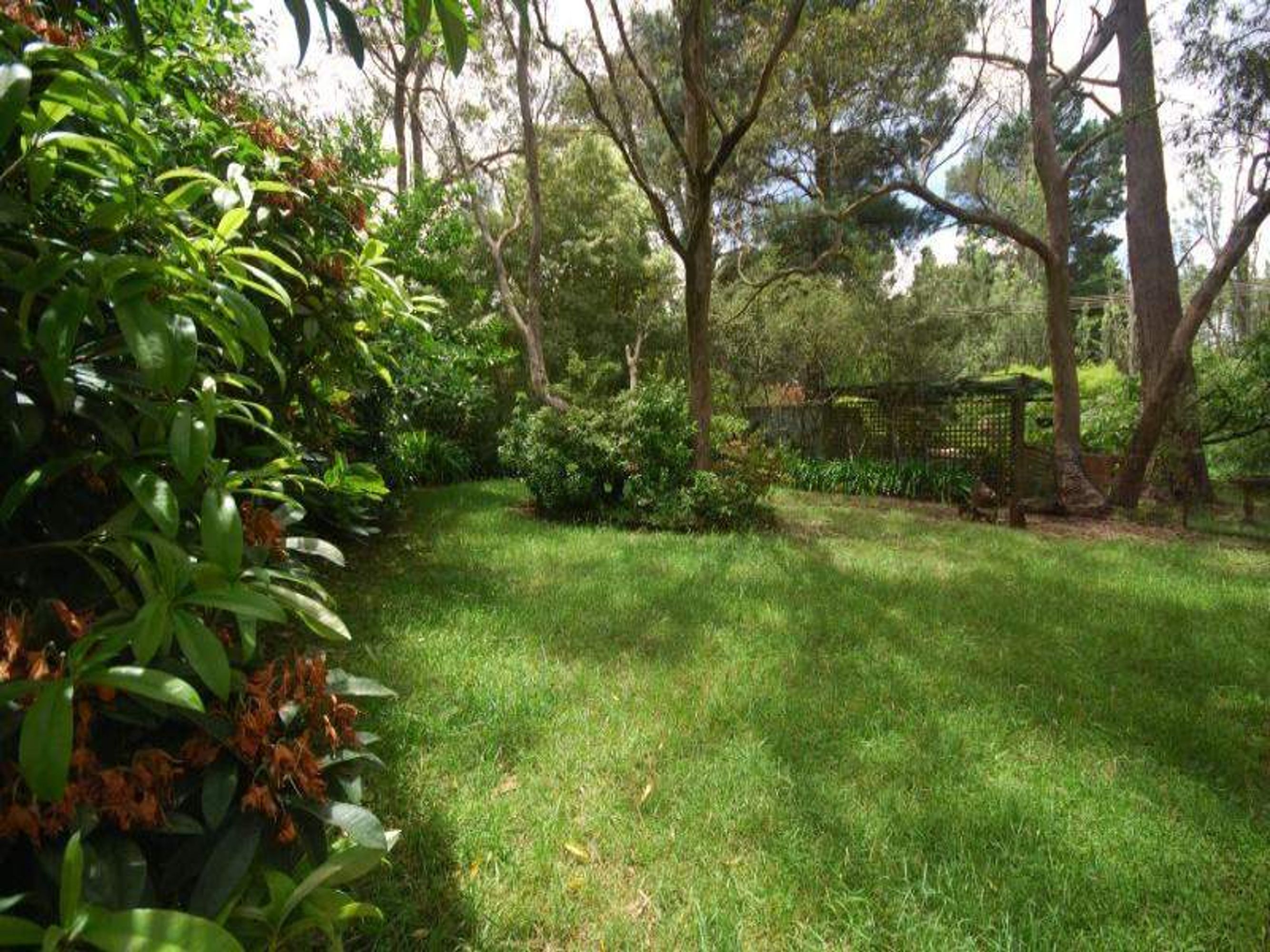 42 Portland Rd, Medlow Bath - Thumbnail 2