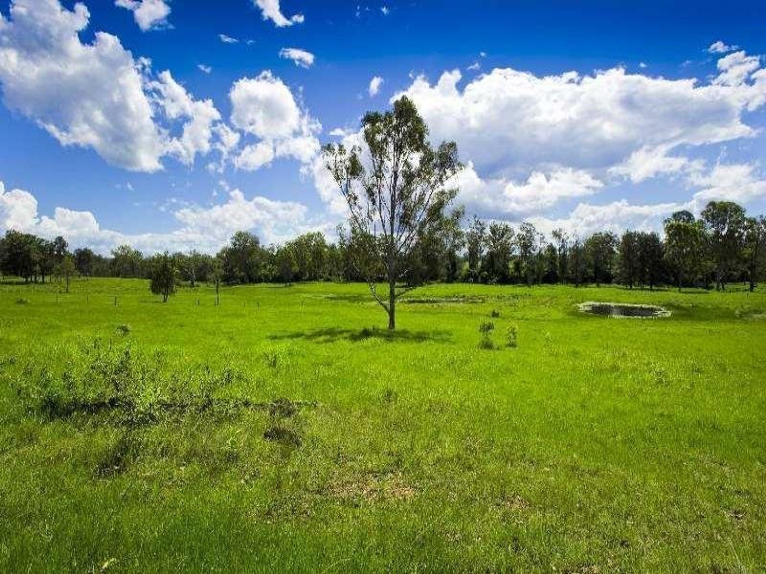Kangaroo Creek Road, Coutts Crossing - Thumbnail 7