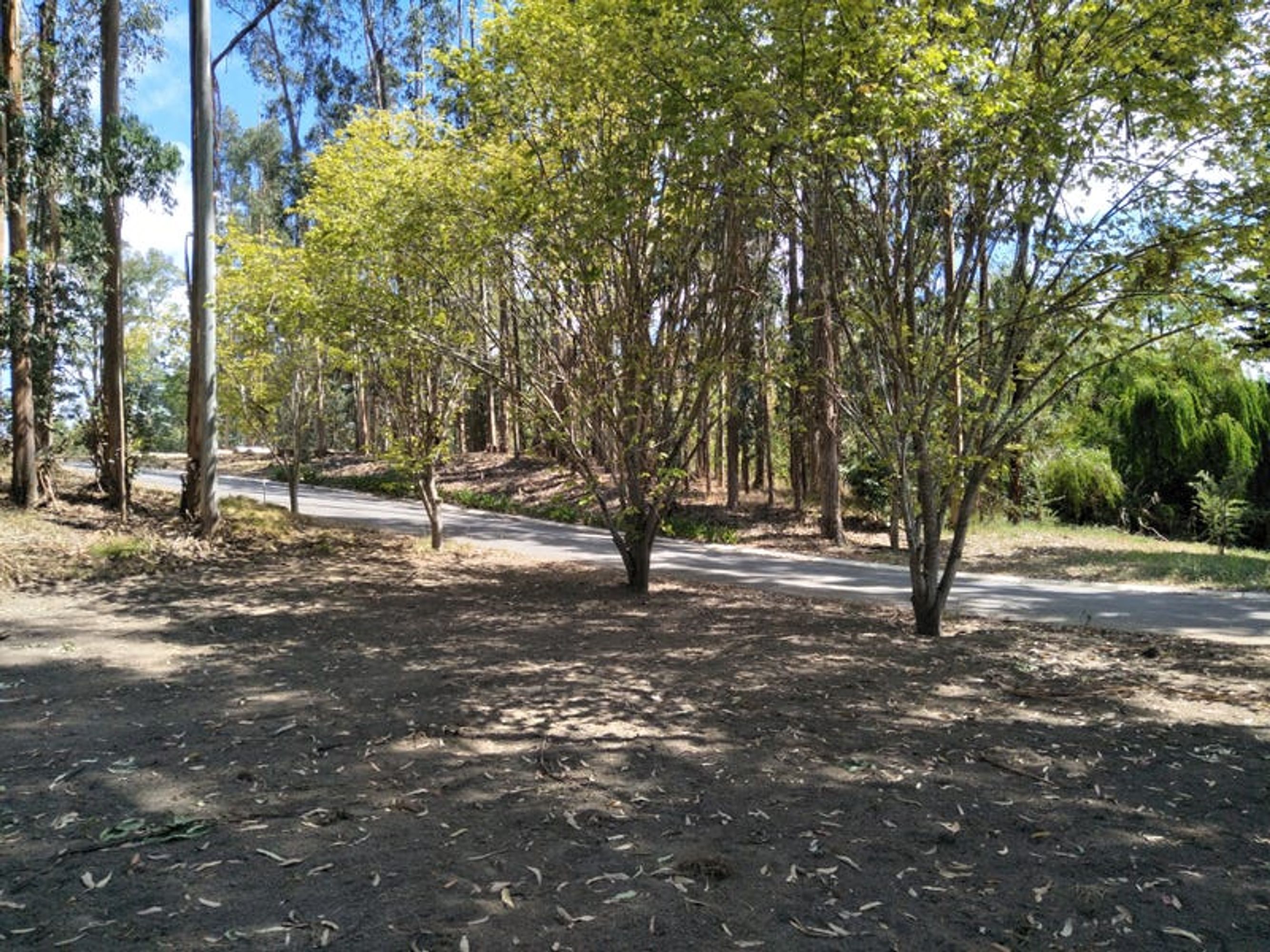 Lot 508, 12 Searle Street, Macclesfield, SA 5153, Macclesfield - Thumbnail 6