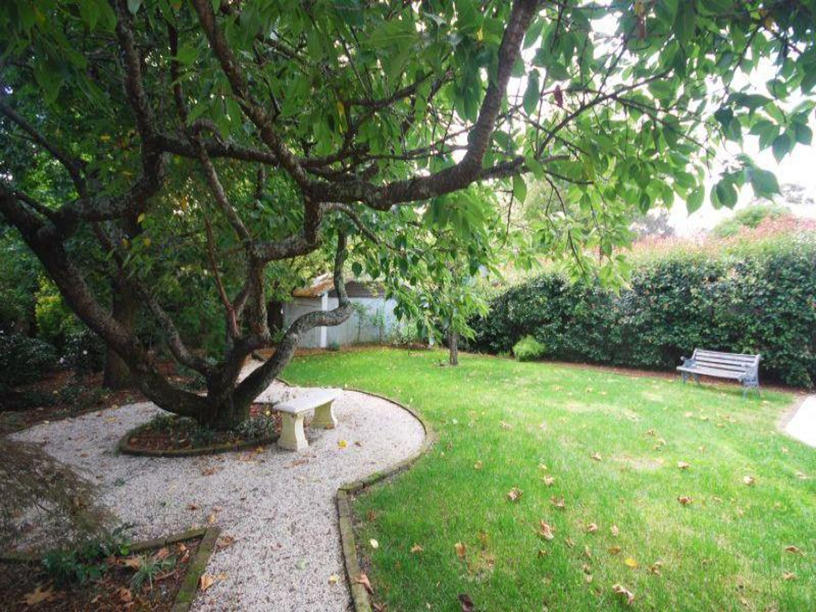 32 Leichhardt St, Katoomba - Thumbnail 6