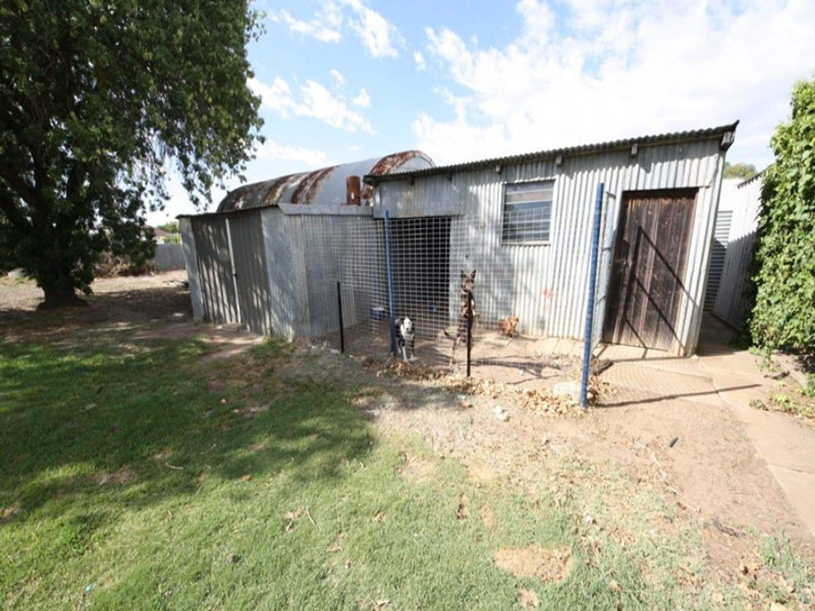 19 Woodward Street, Nhill VIC 3418, Nhill - Thumbnail 7