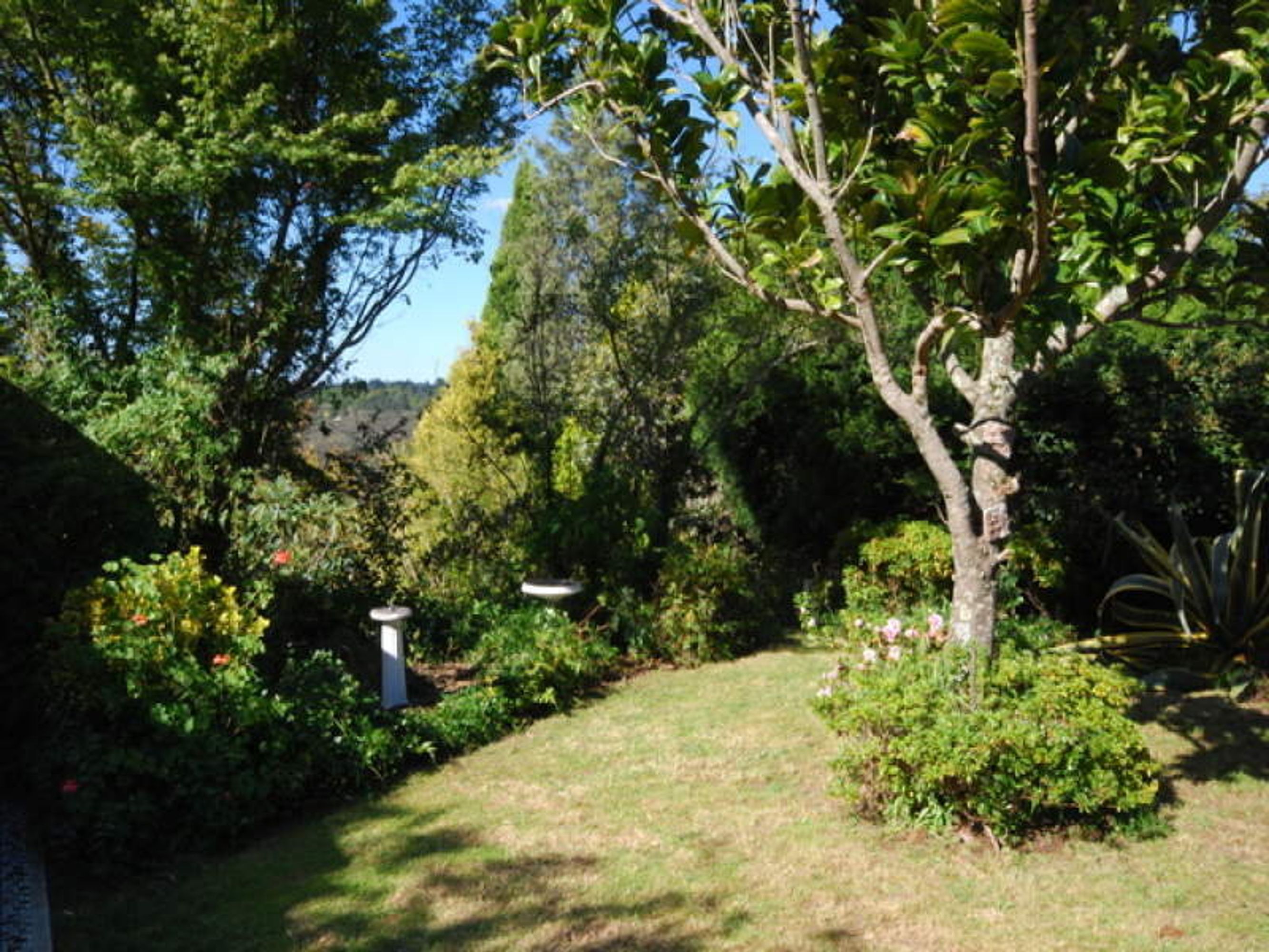 8 Banksia Park Road, Katoomba - Thumbnail 8