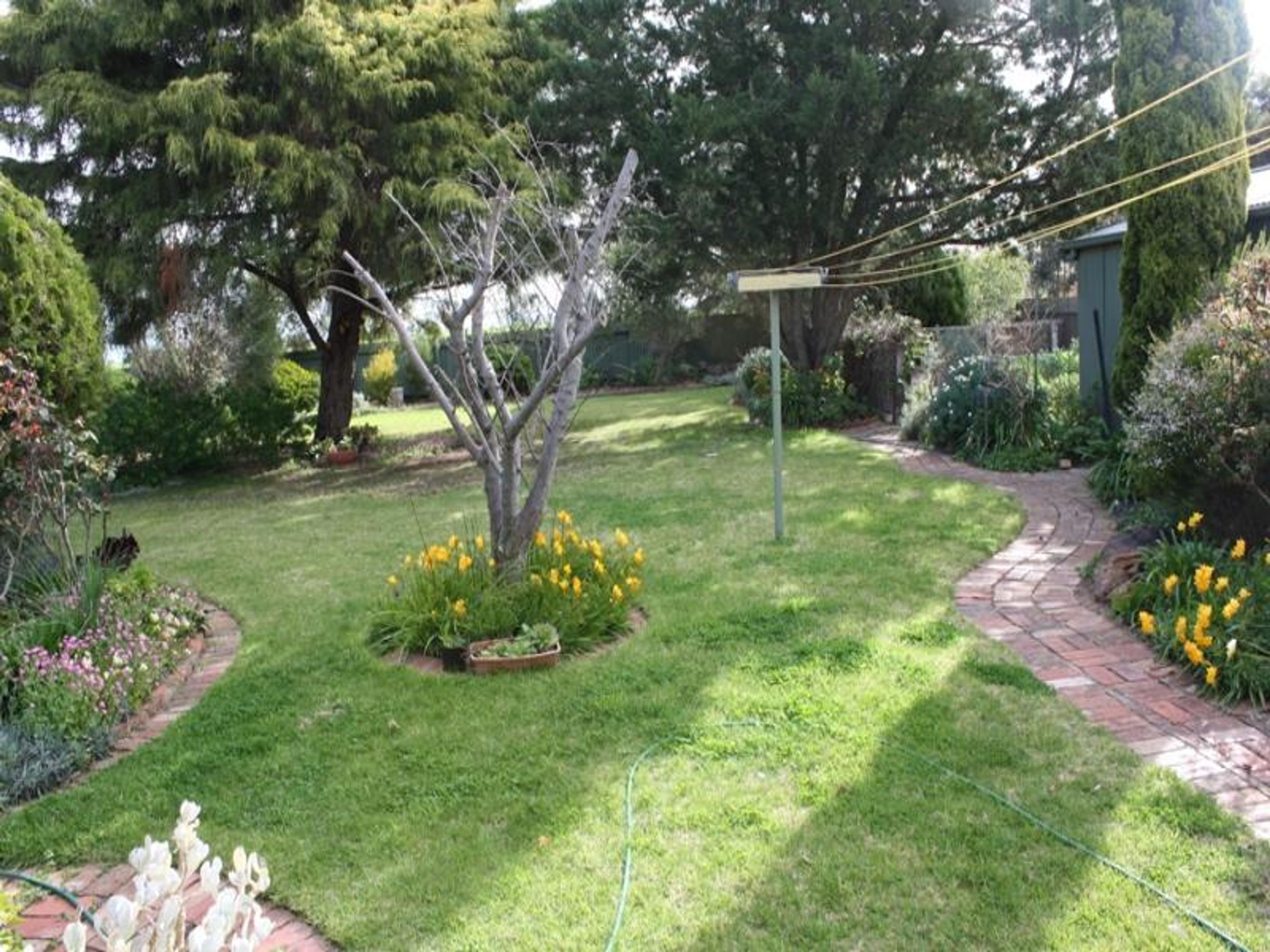 24 Church Street, Nhill VIC 3418, Nhill - Thumbnail 3