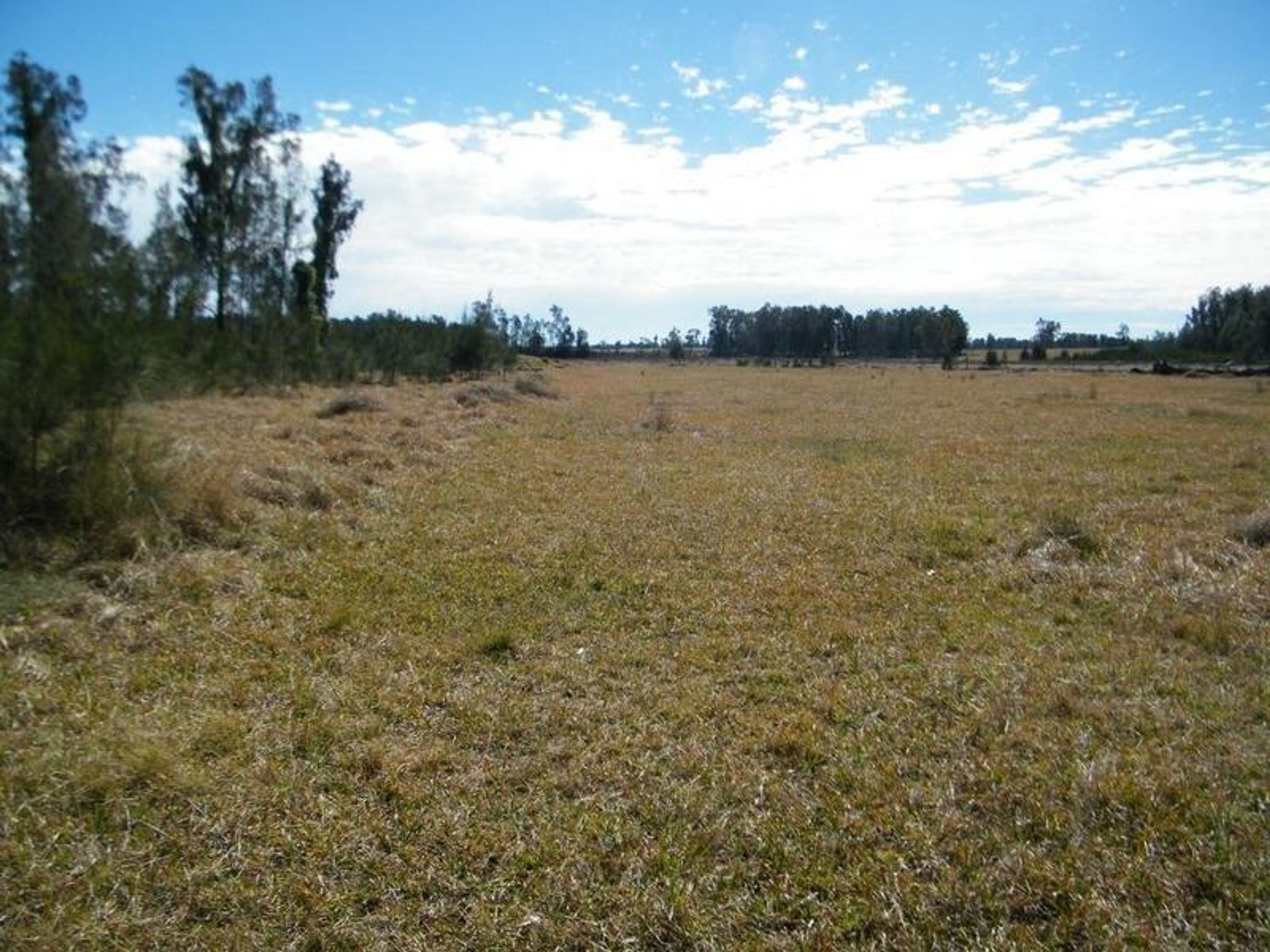 105 Casson Creek Road, Lavadia - Thumbnail 7