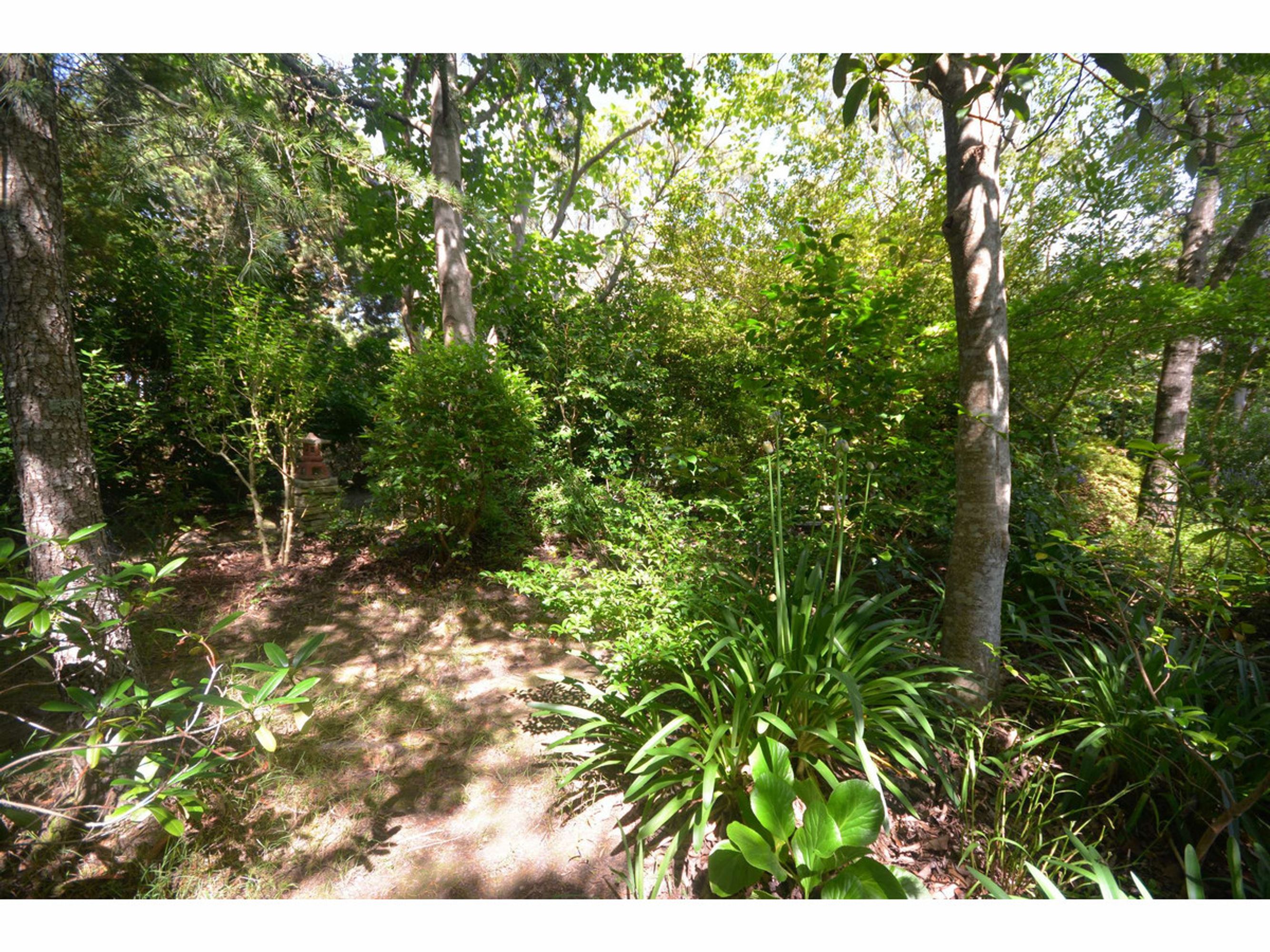 54 Rawson Parade, Leura - Thumbnail 6