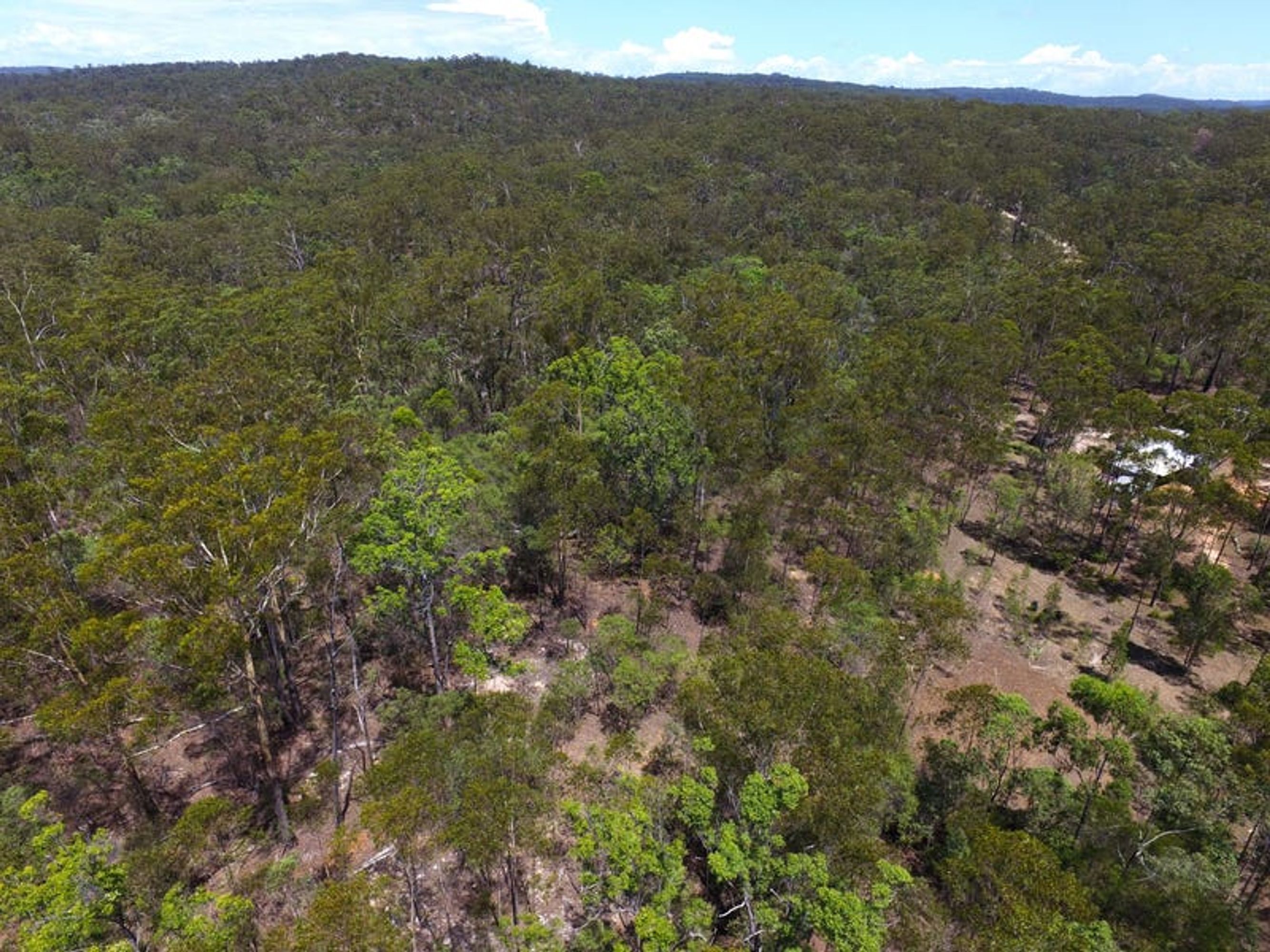 801 Kangaroo Creek Road, Coutts Crossing - Thumbnail 3