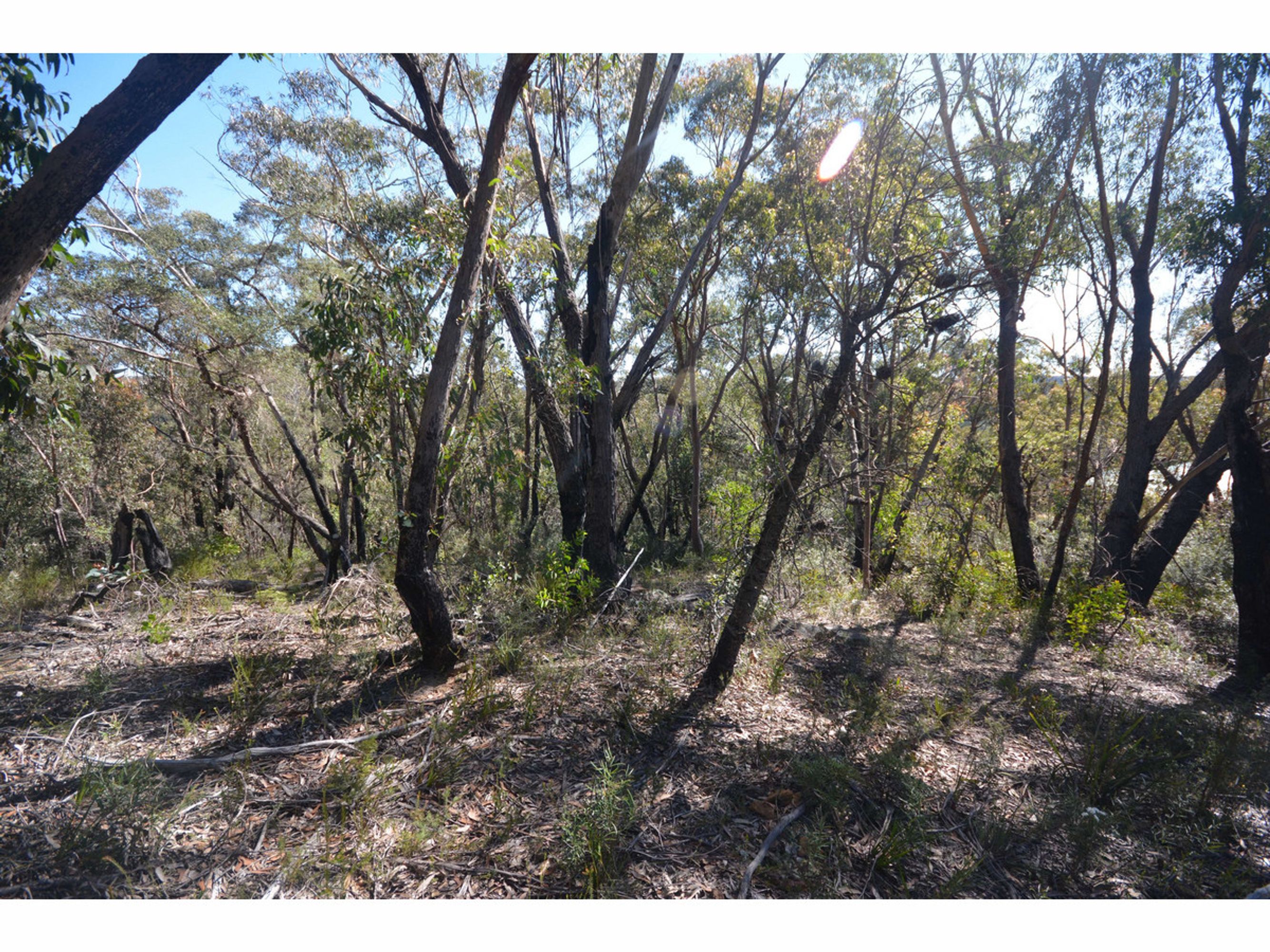 24-26 24-26 Booth Road, Bullaburra - Thumbnail 4