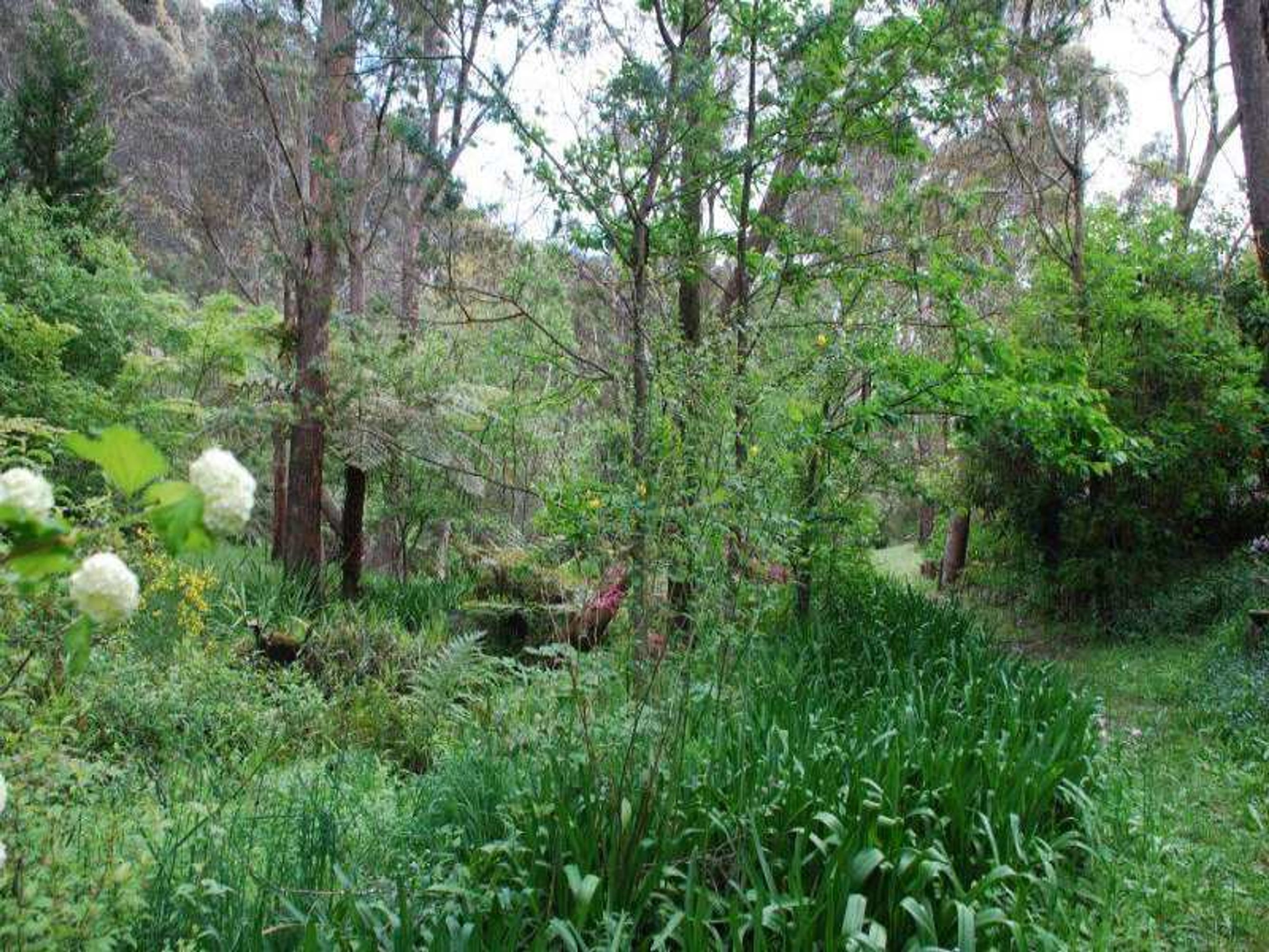 68 Mount St, Leura - Thumbnail 2
