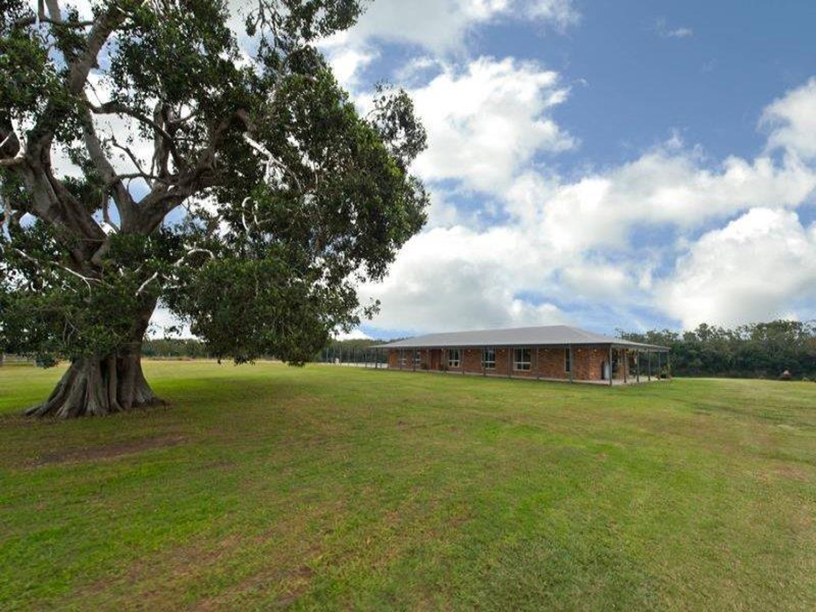 1 Morwong Road, Seelands - Thumbnail 3