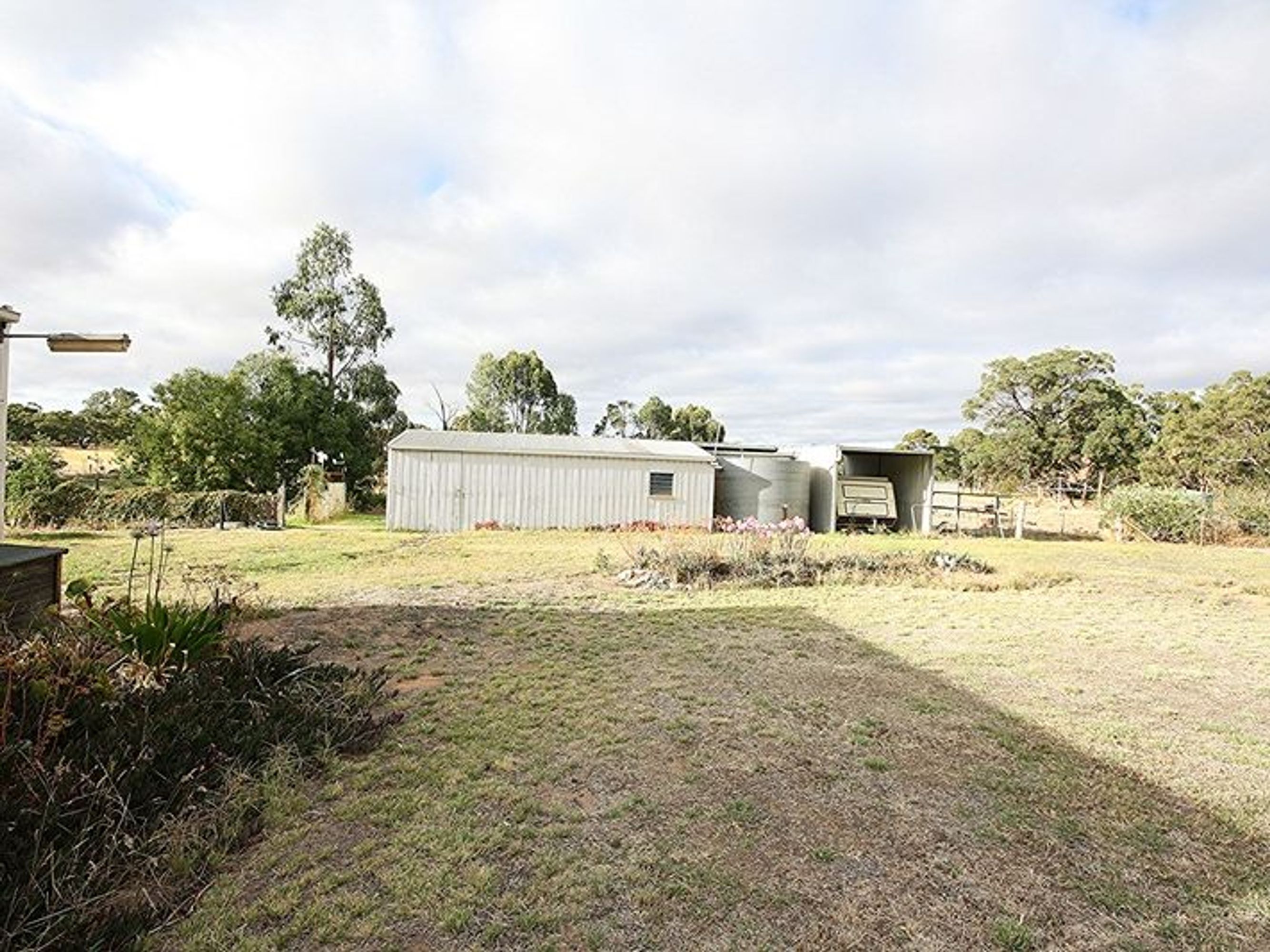 403 Forbidden, Wonwondah - Thumbnail 3