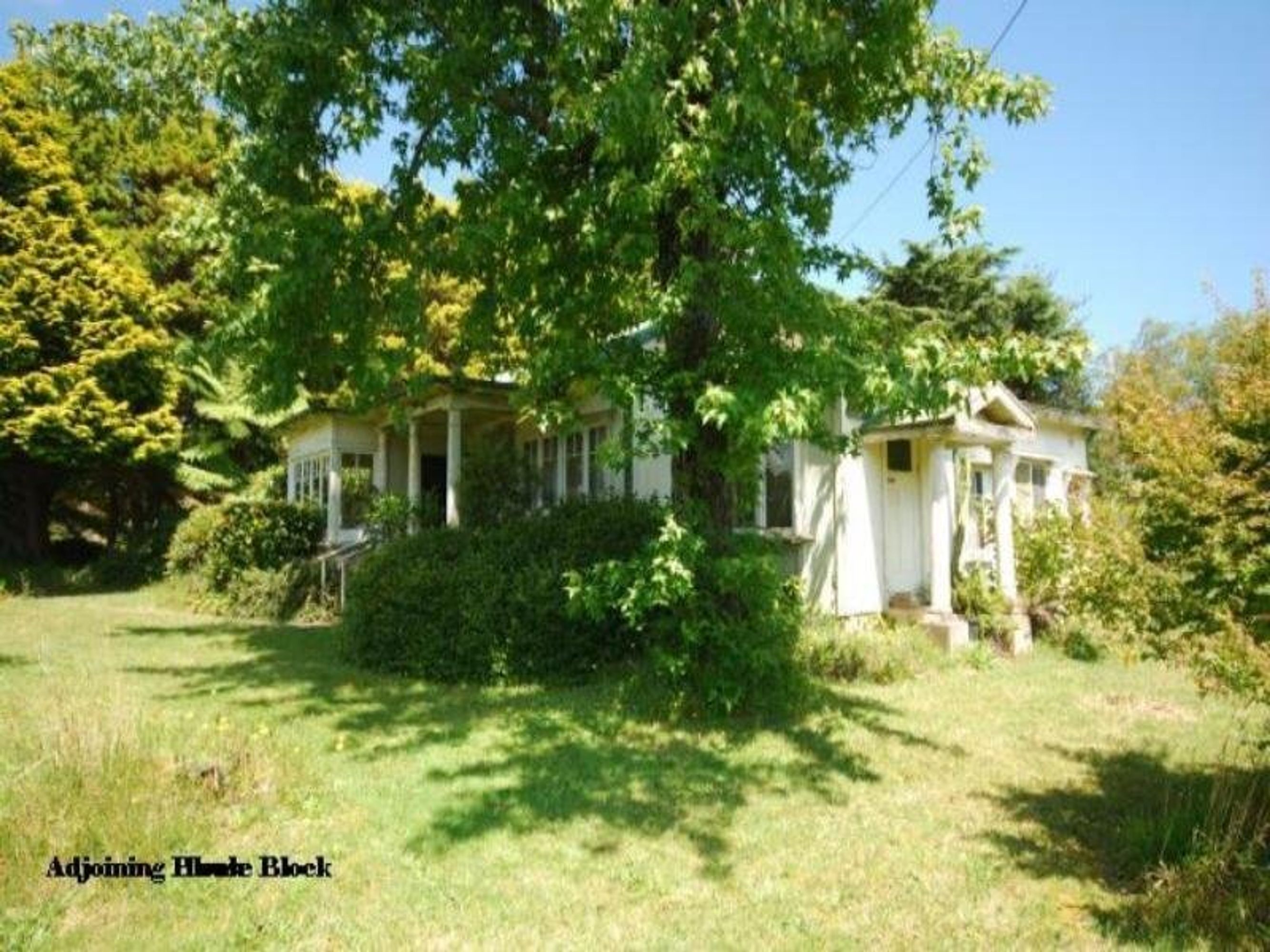 1 Ficus Street, Katoomba - Thumbnail 5