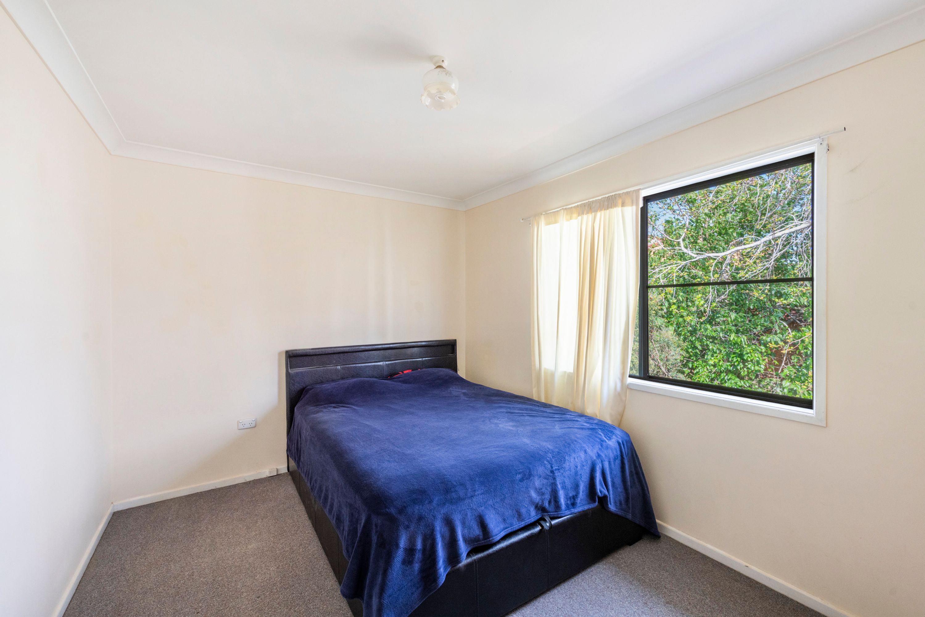 182A Turf Street, Grafton - Thumbnail 4