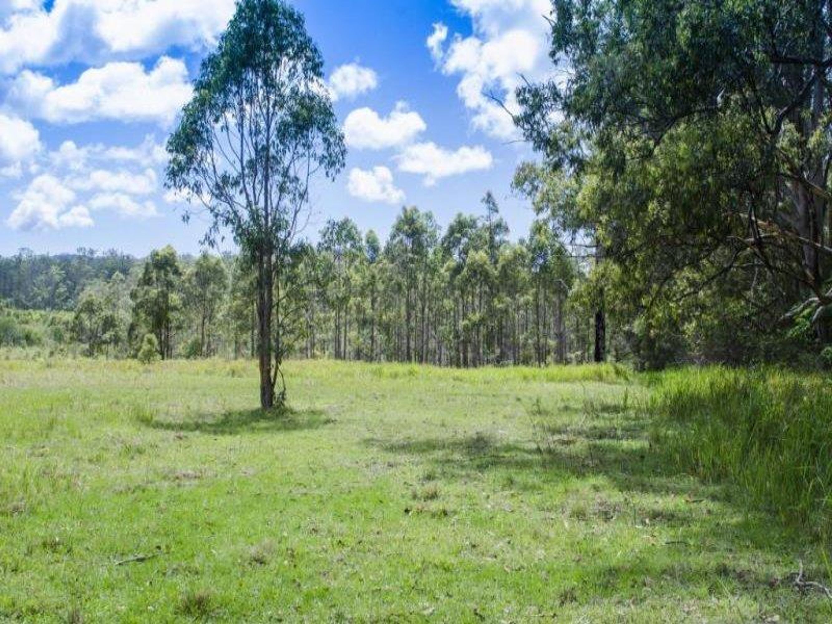 Lot 980 Firth Heinz Road, Pillar Valley - Thumbnail 6