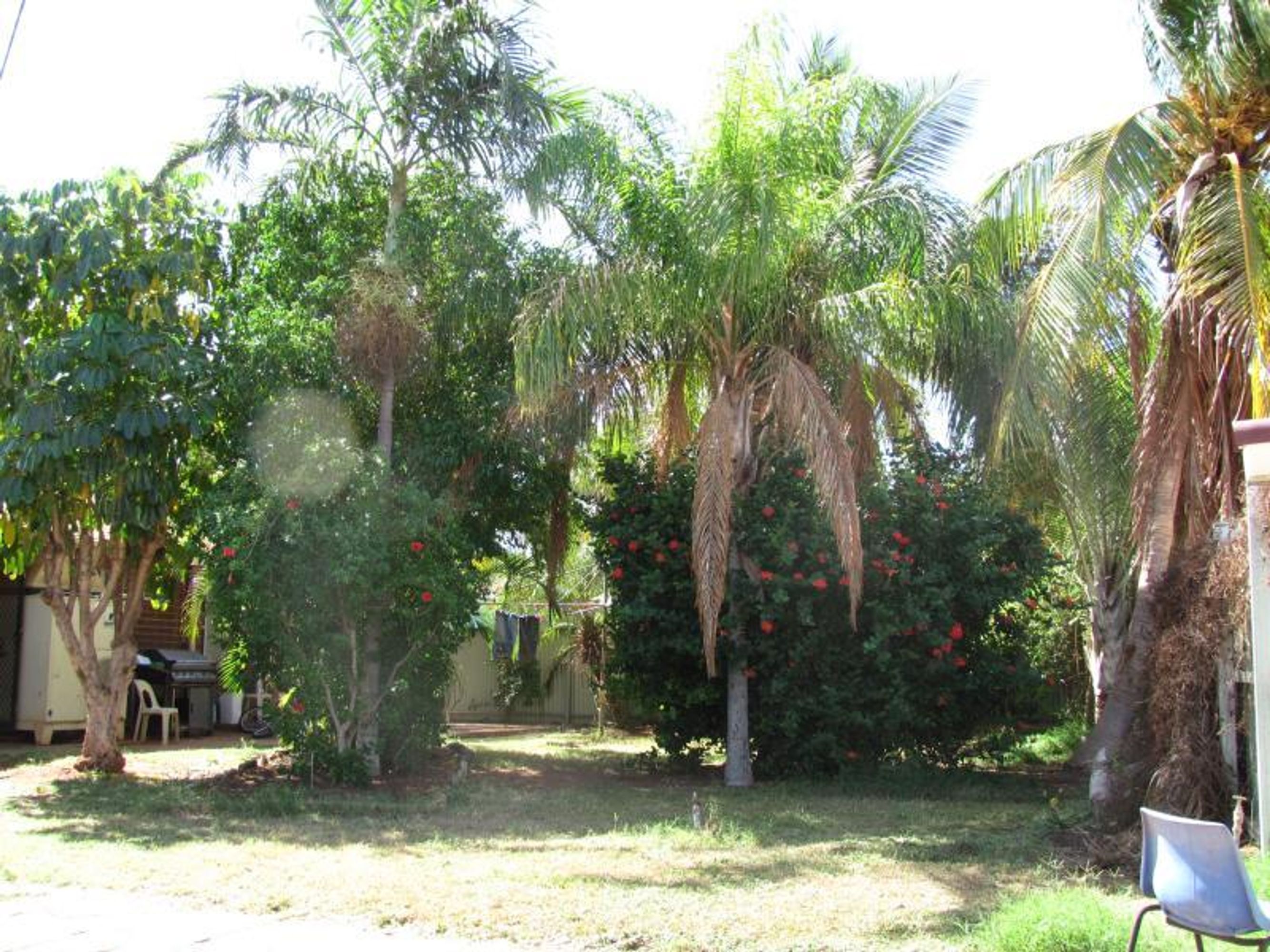 23 Lawson Street, South Hedland, South Hedland - Thumbnail 4