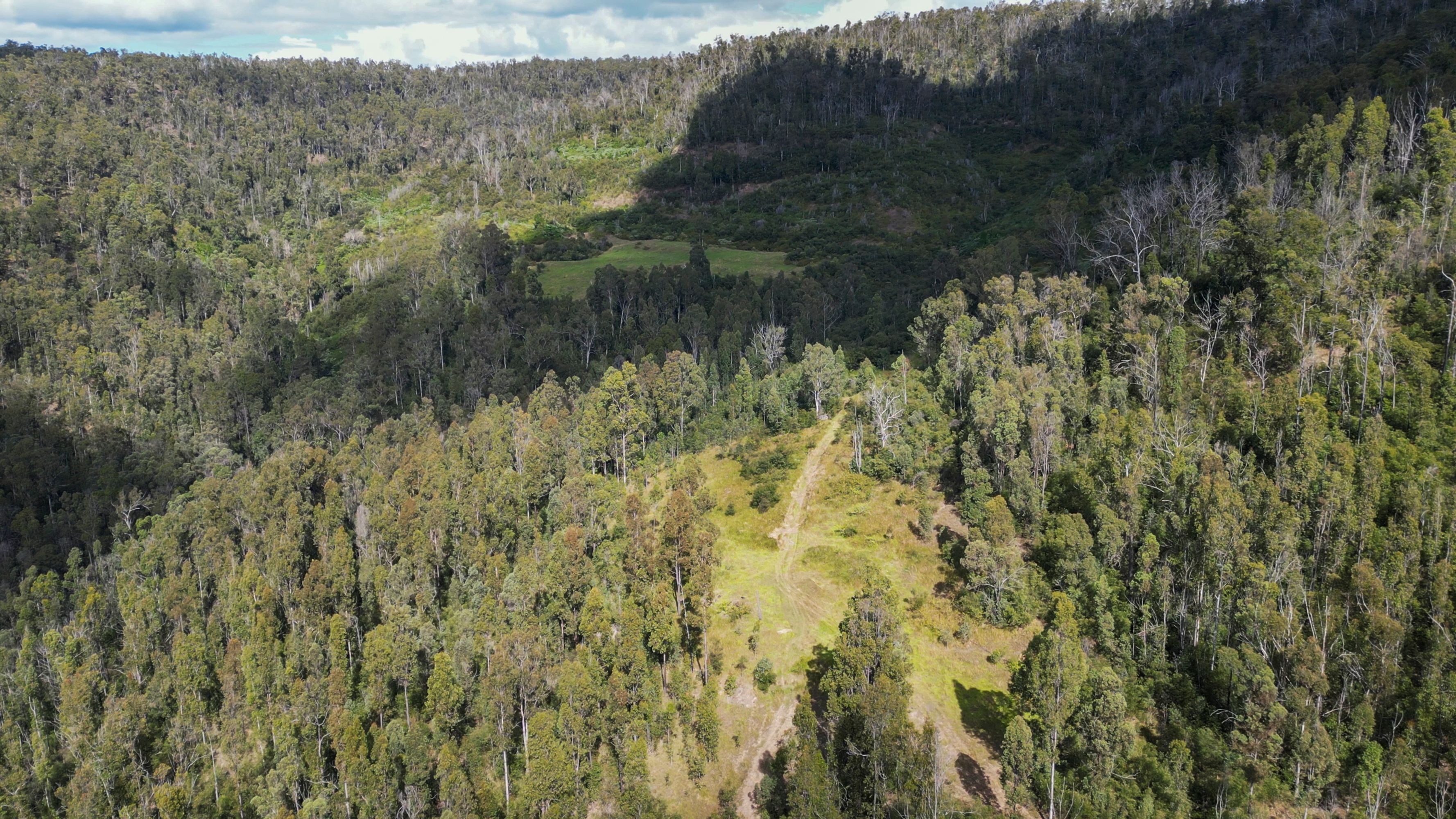 3293 Armidale Road, Blaxlands Creek - Thumbnail 8
