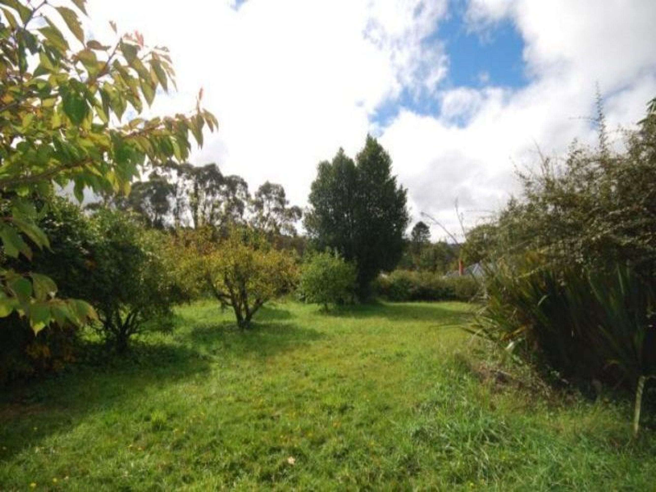 1 Ficus Street, Katoomba - Thumbnail 3
