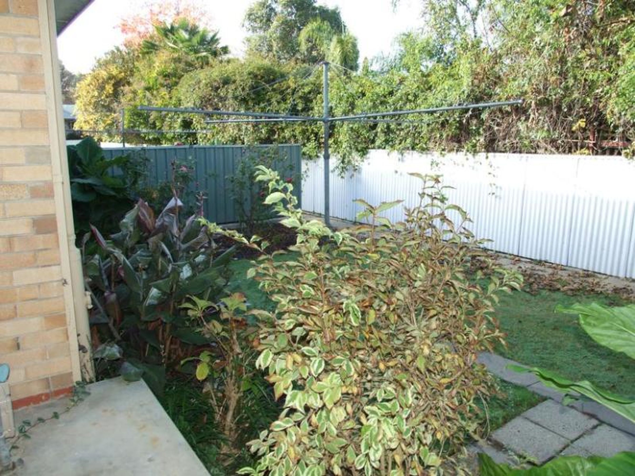 wangaratta, Wangaratta - Thumbnail 7