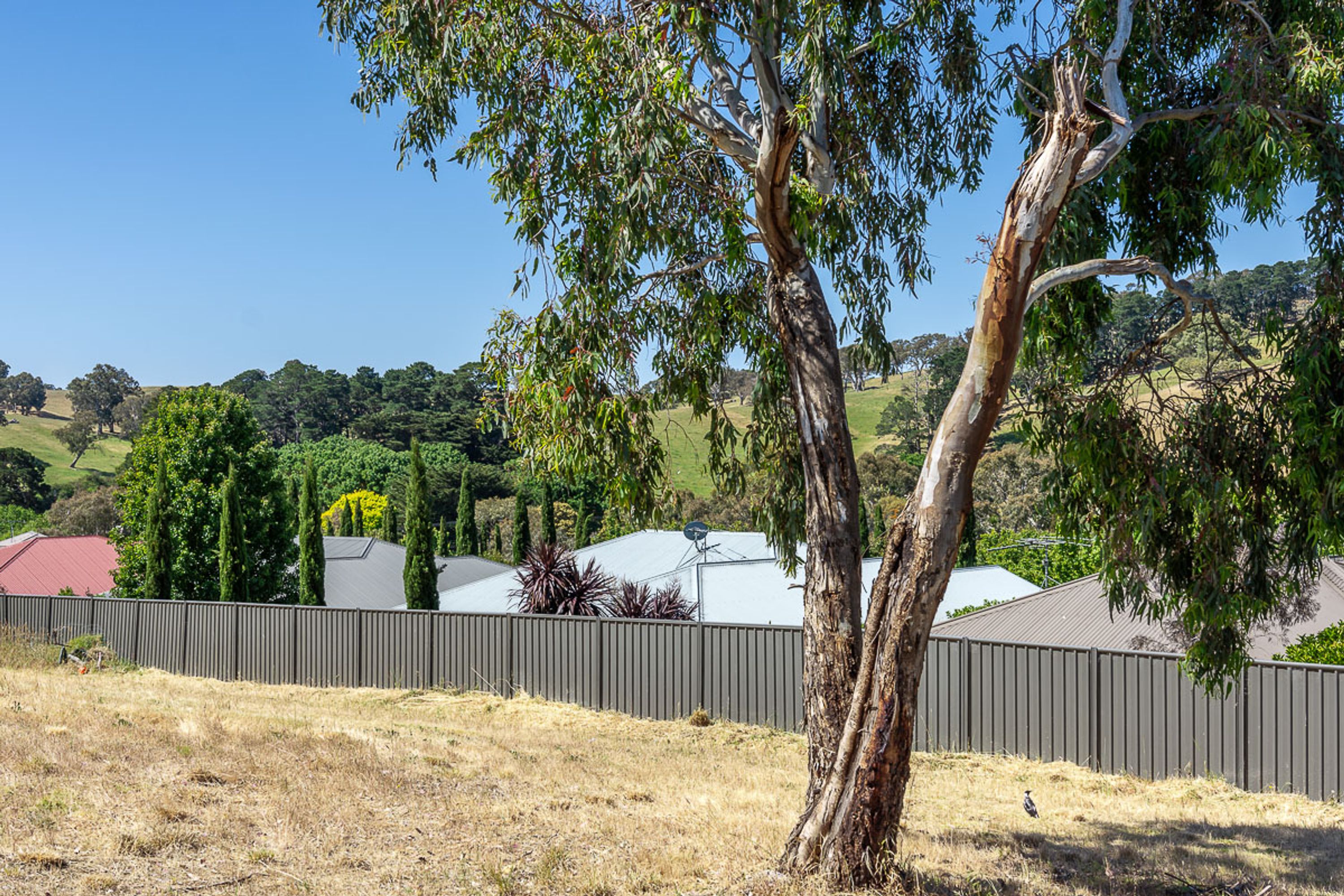 4 Bushel Court, Nairne SA 5252, Nairne - Thumbnail 8