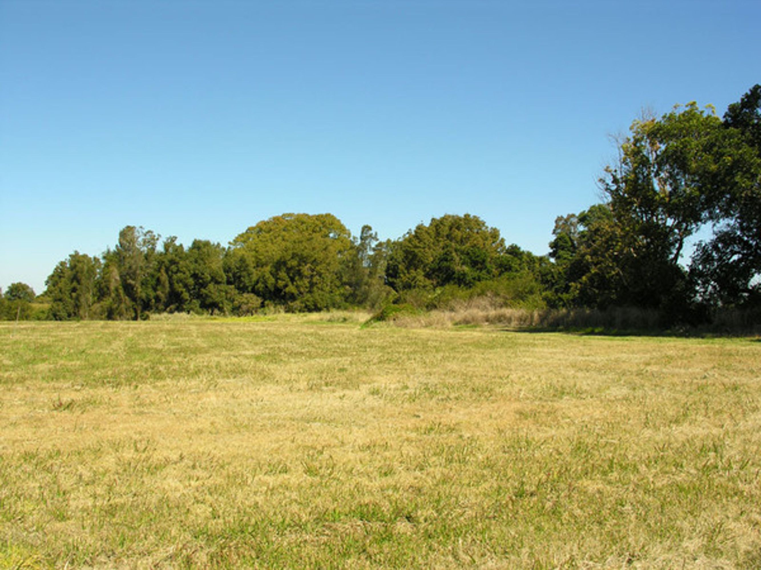 Lot 12 Lawrence Road, Woodford Island - Thumbnail 3