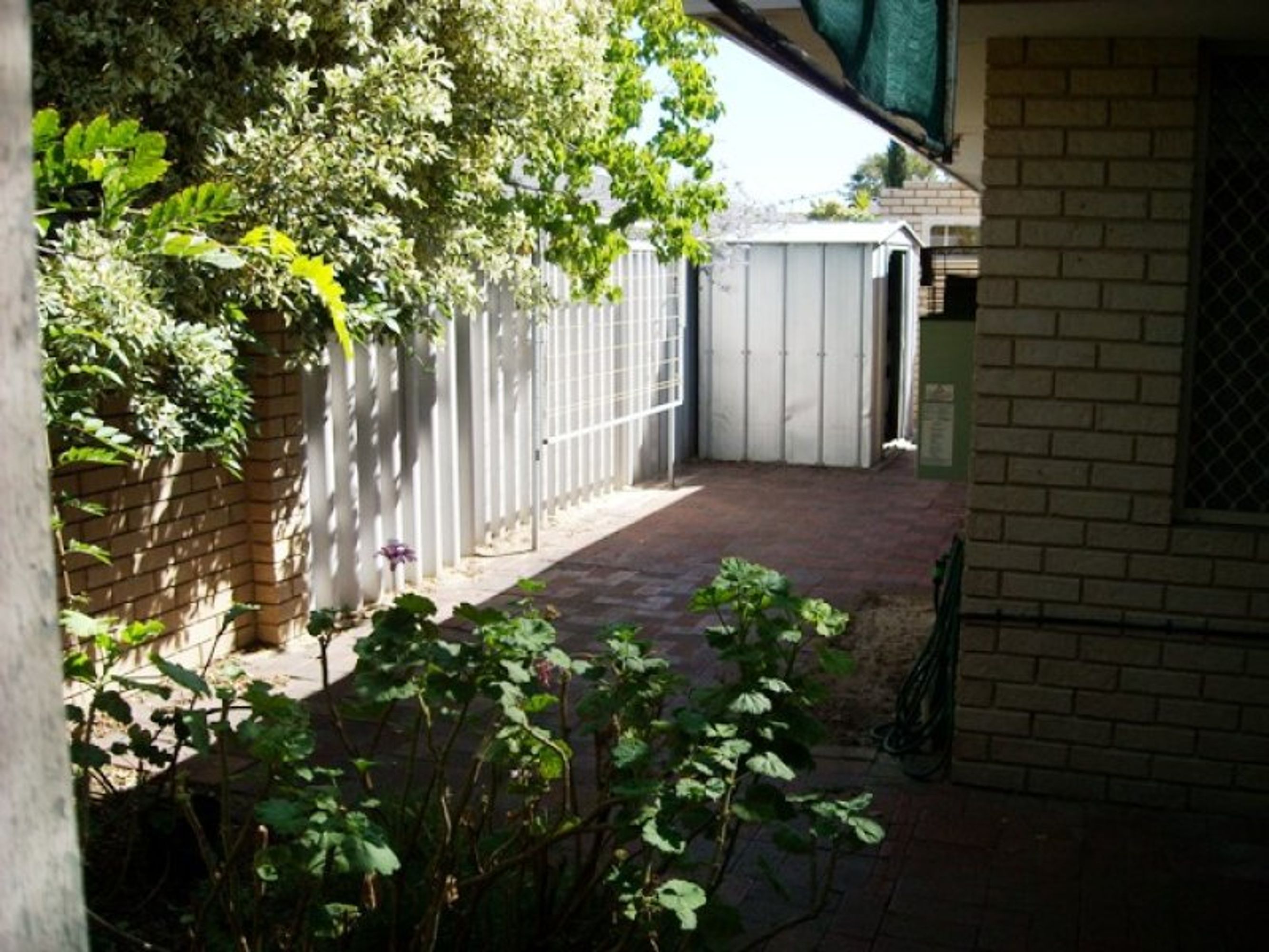 47 Wattle Street, Tuart Hill, WA 6060, Tuart Hill - Thumbnail 6