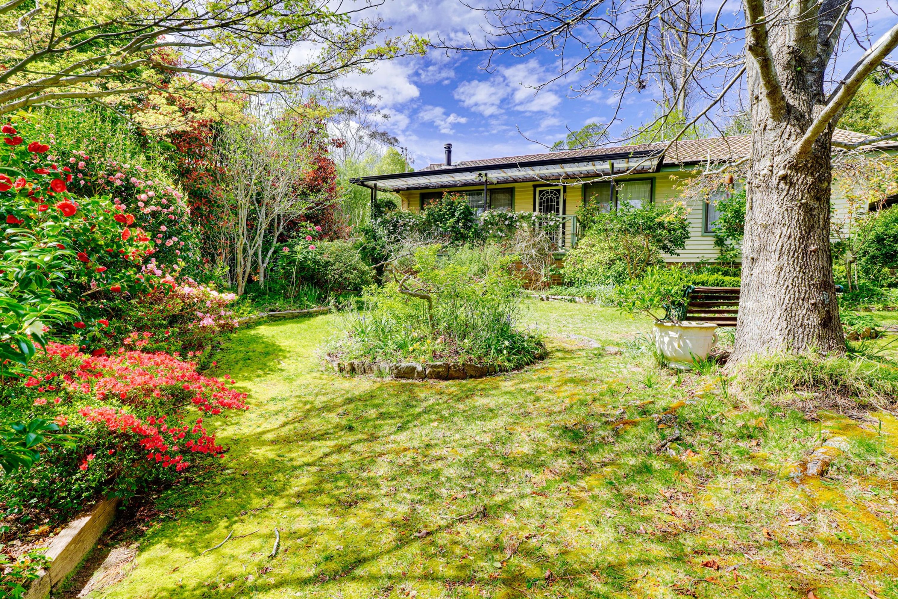 56 Shortland Street, Wentworth Falls - Thumbnail 2