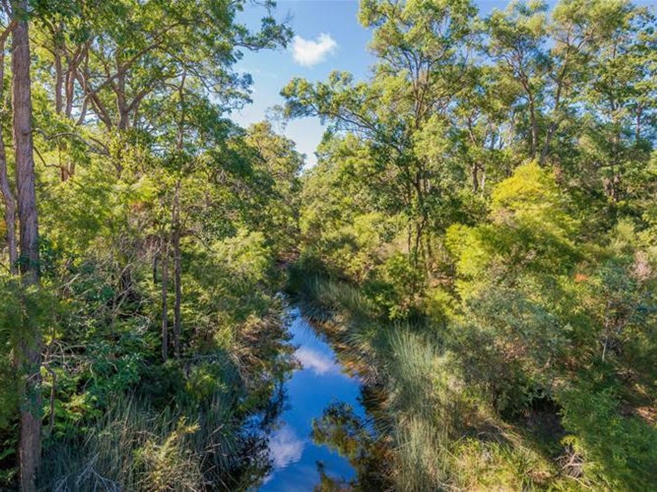 768 Coaldale Road, Fortis Creek - Thumbnail 3