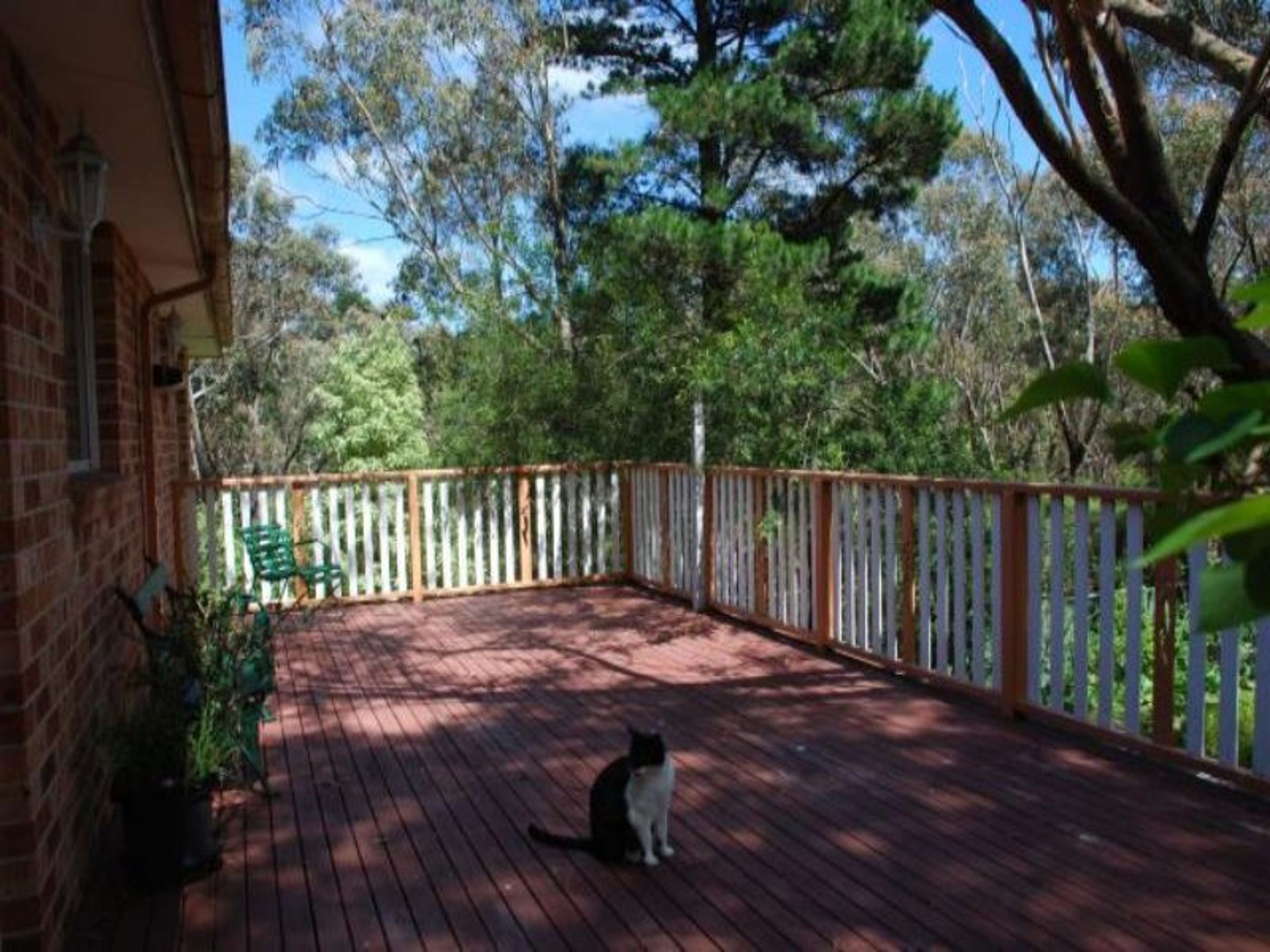 14 Willow Park Ave, Leura - Thumbnail 5