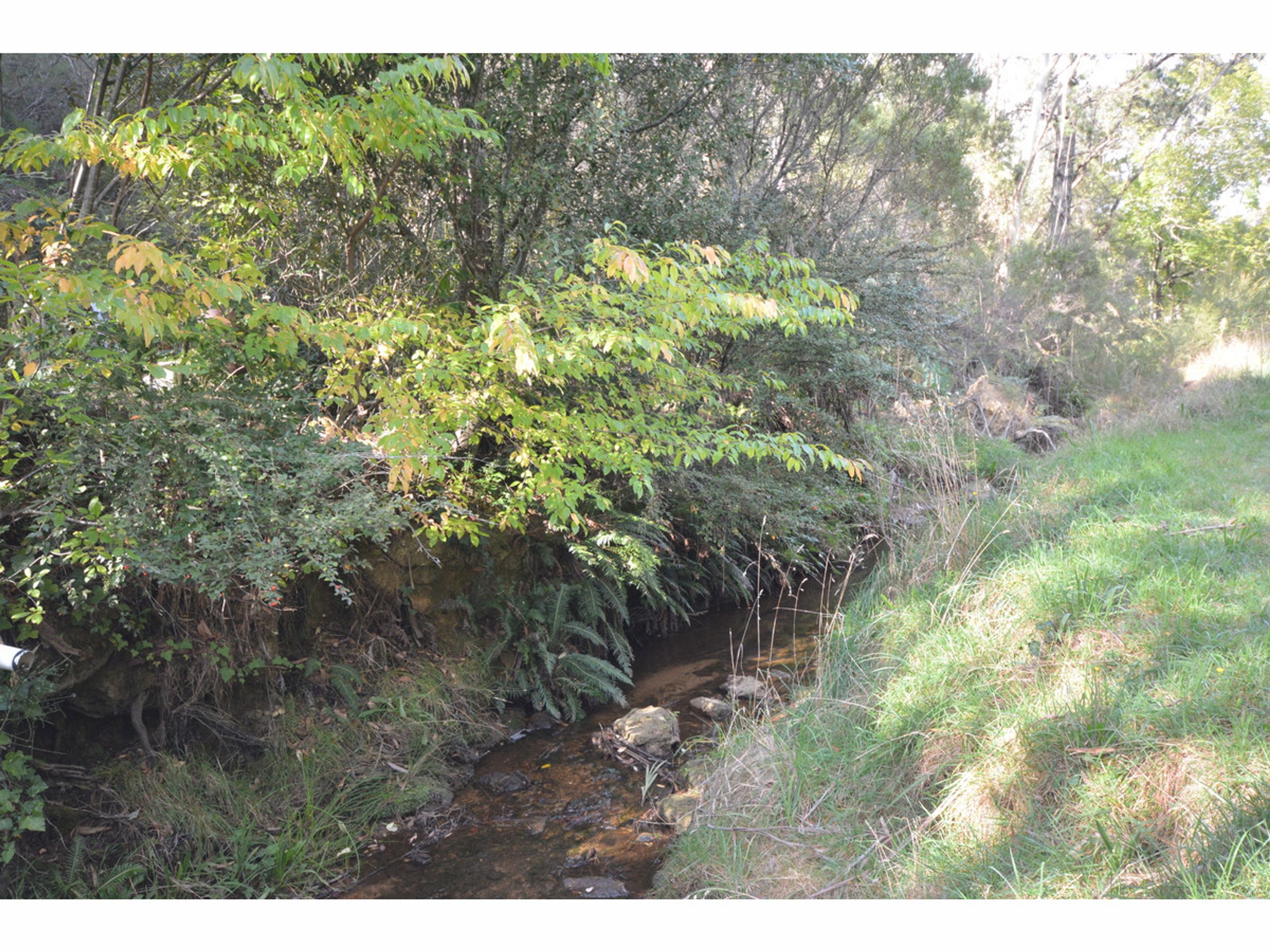 40 Neale Street, Katoomba - Thumbnail 2