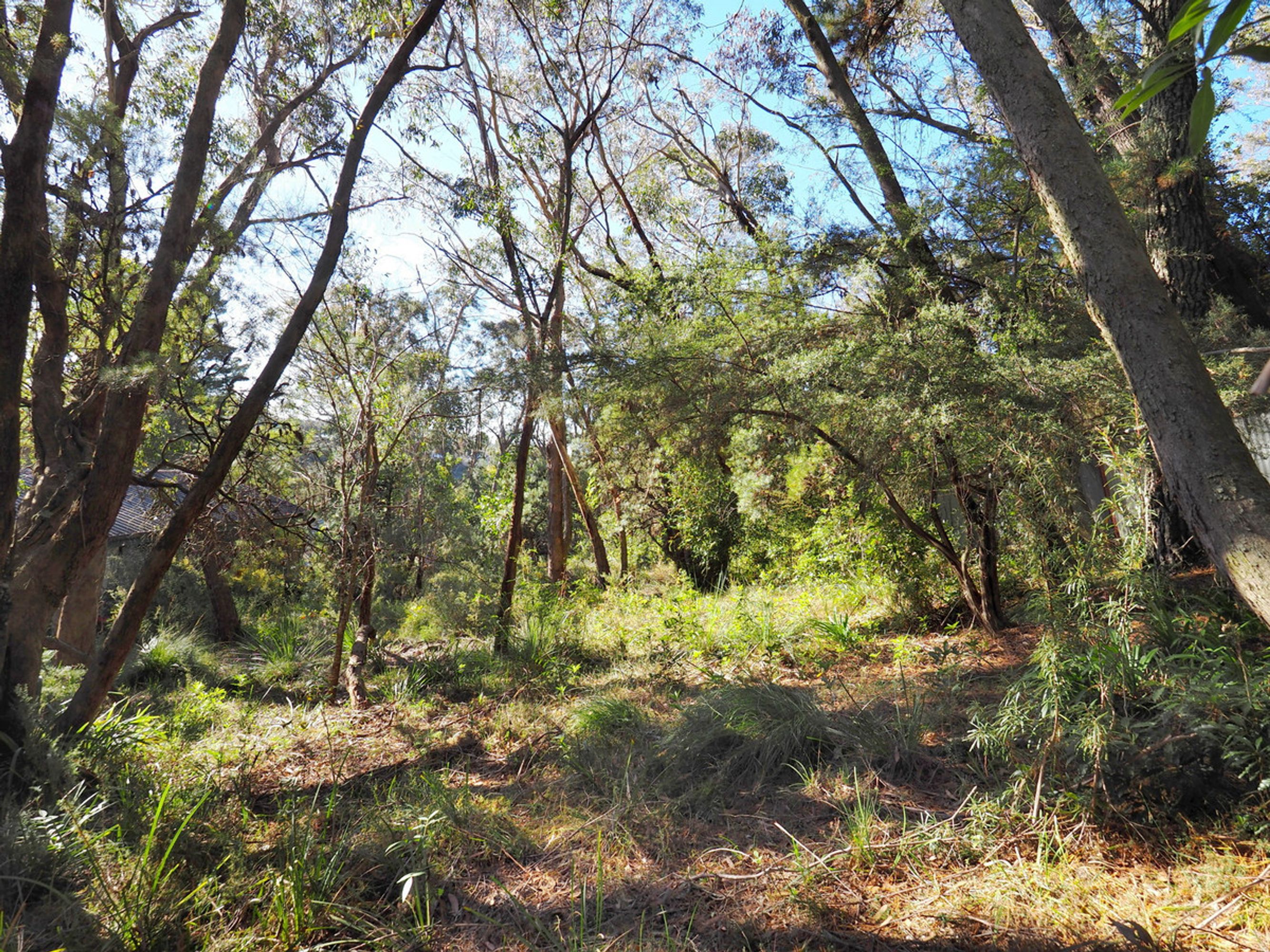 36 Winston Street, Leura - Thumbnail 3