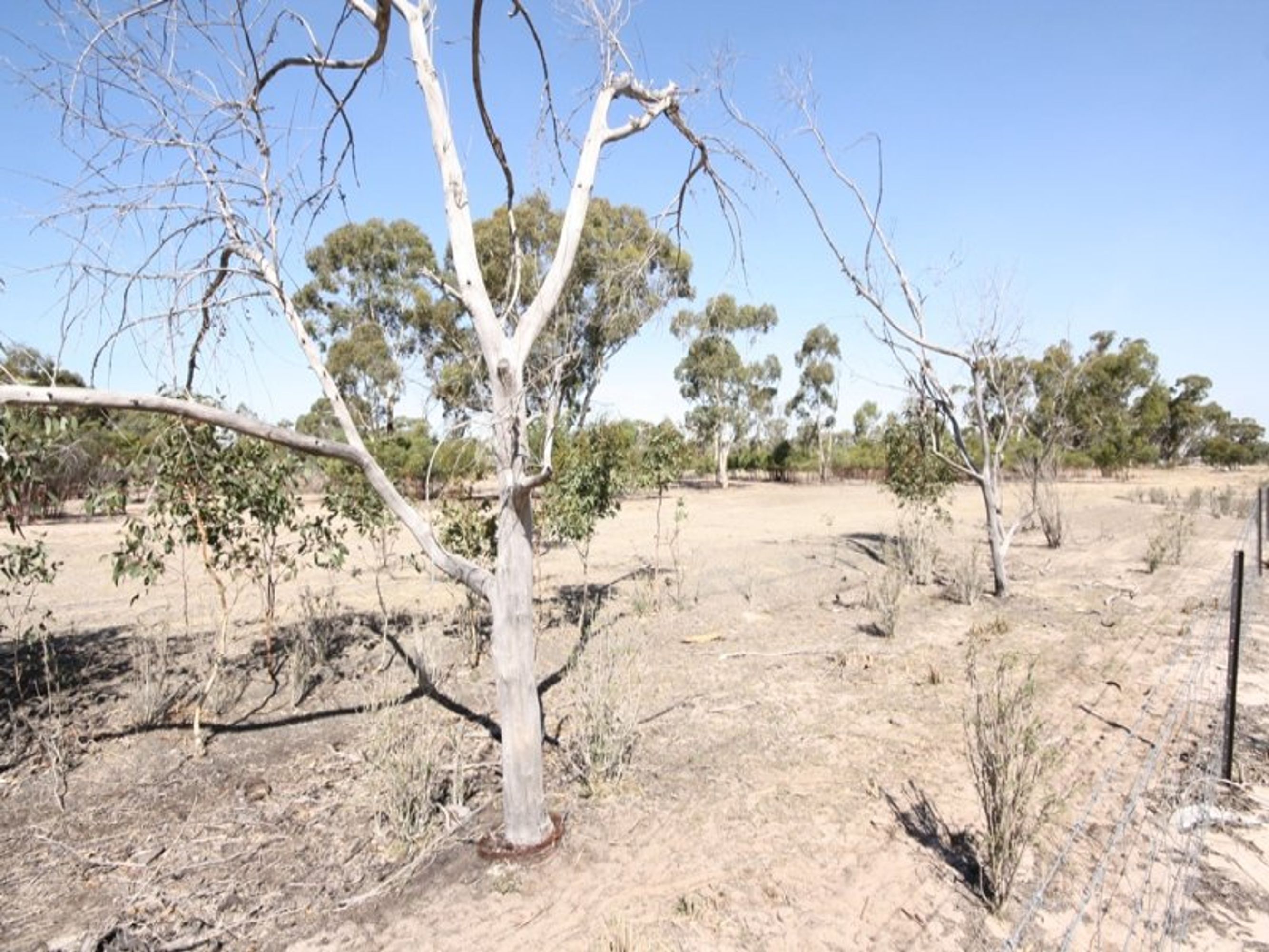 4326 Henty Highway, Horsham VIC 3400, Horsham - Thumbnail 4