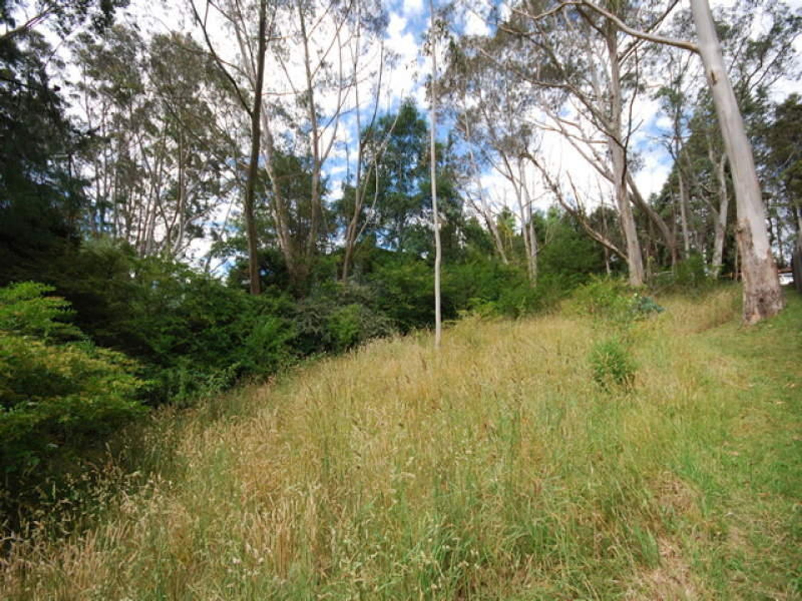 27A/27A Freelander Avenue, Katoomba - Thumbnail 2
