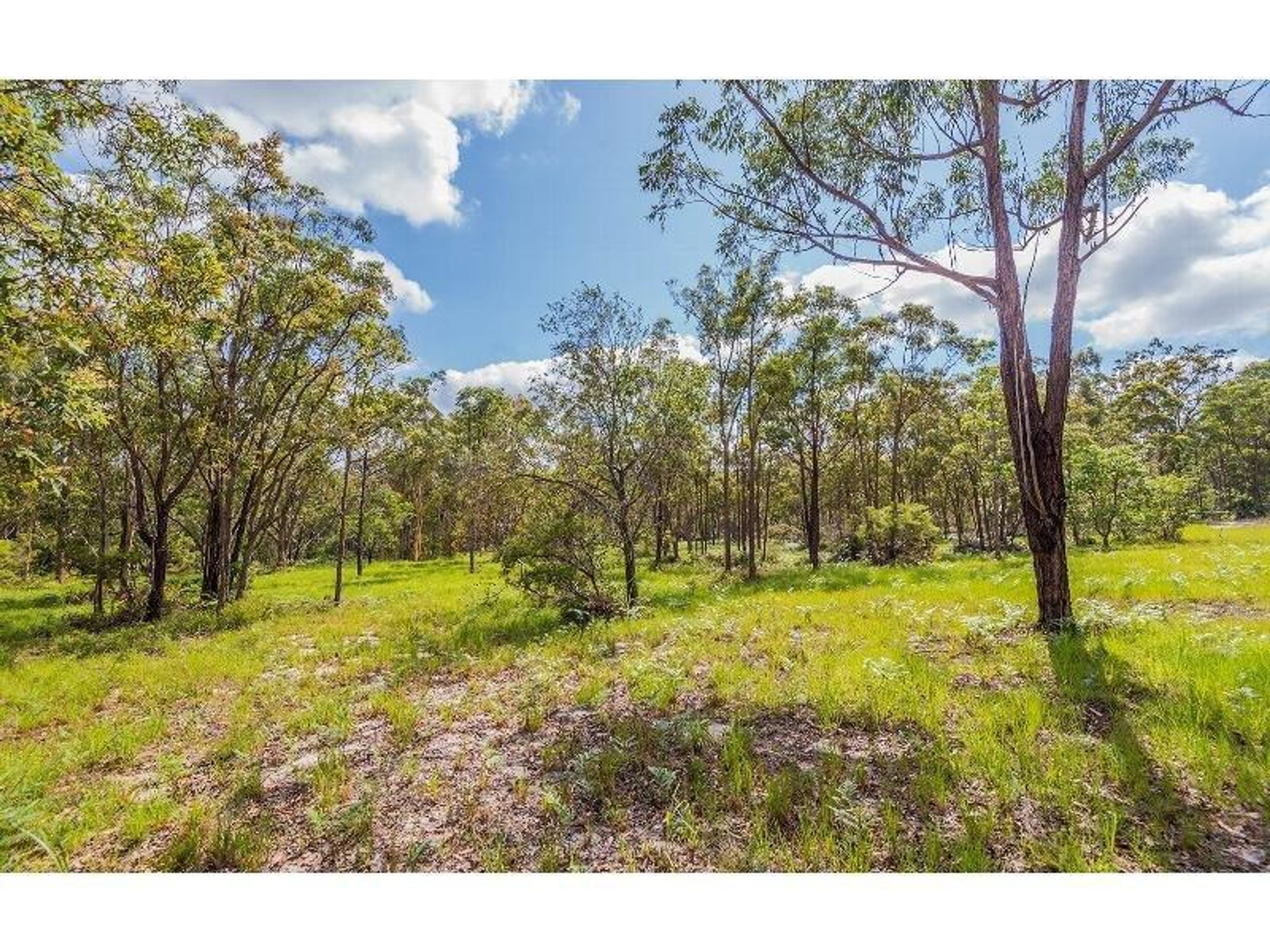 775 Parker Road, Lanitza - Thumbnail 7