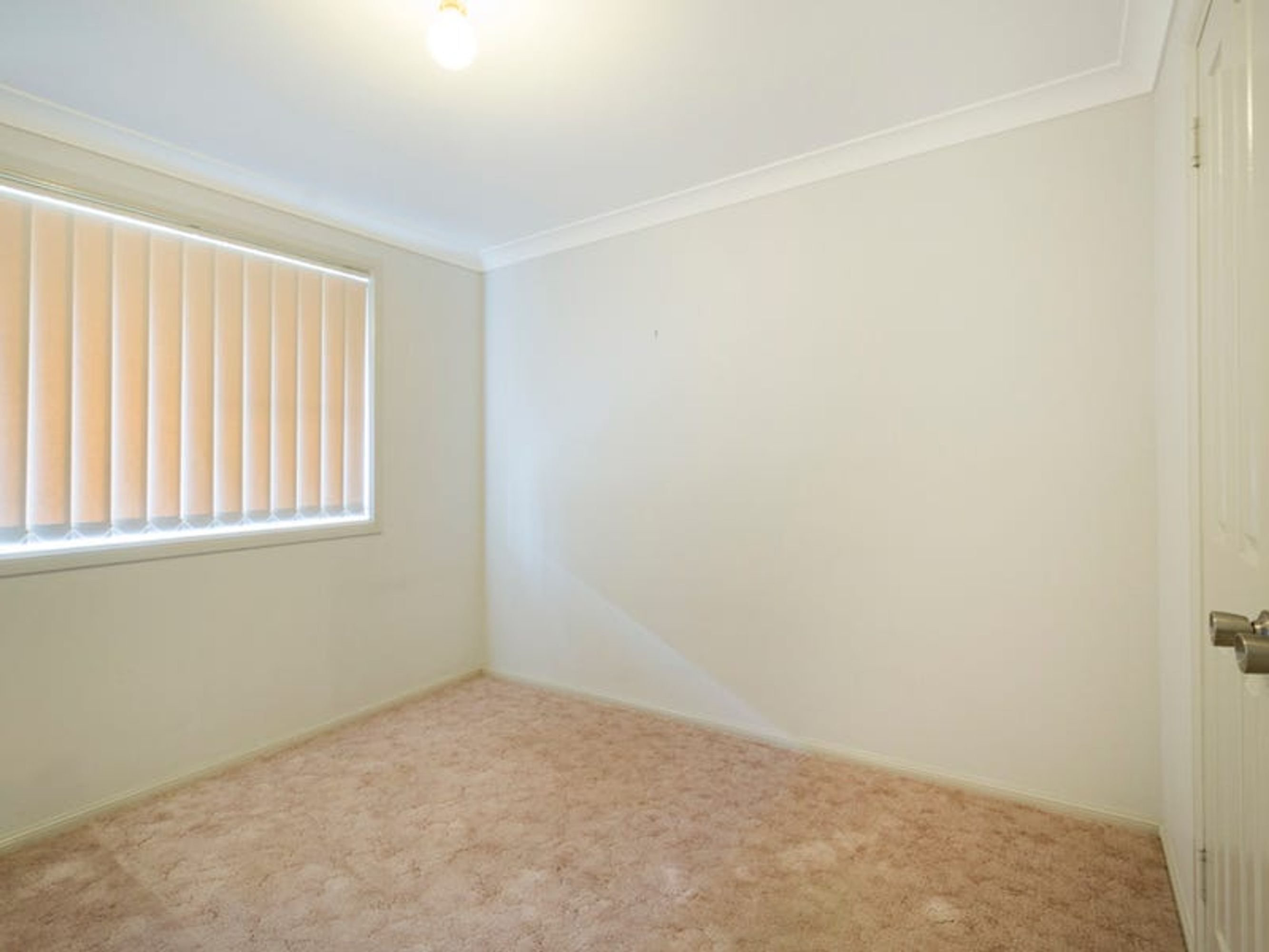 27A Mary Street, Grafton - Thumbnail 8