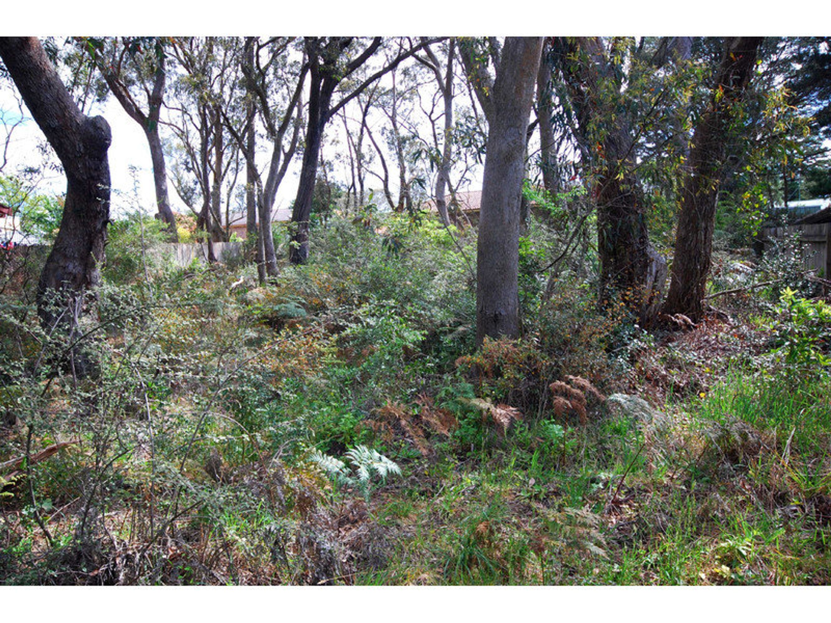 6 Third Avenue, Katoomba - Thumbnail 3