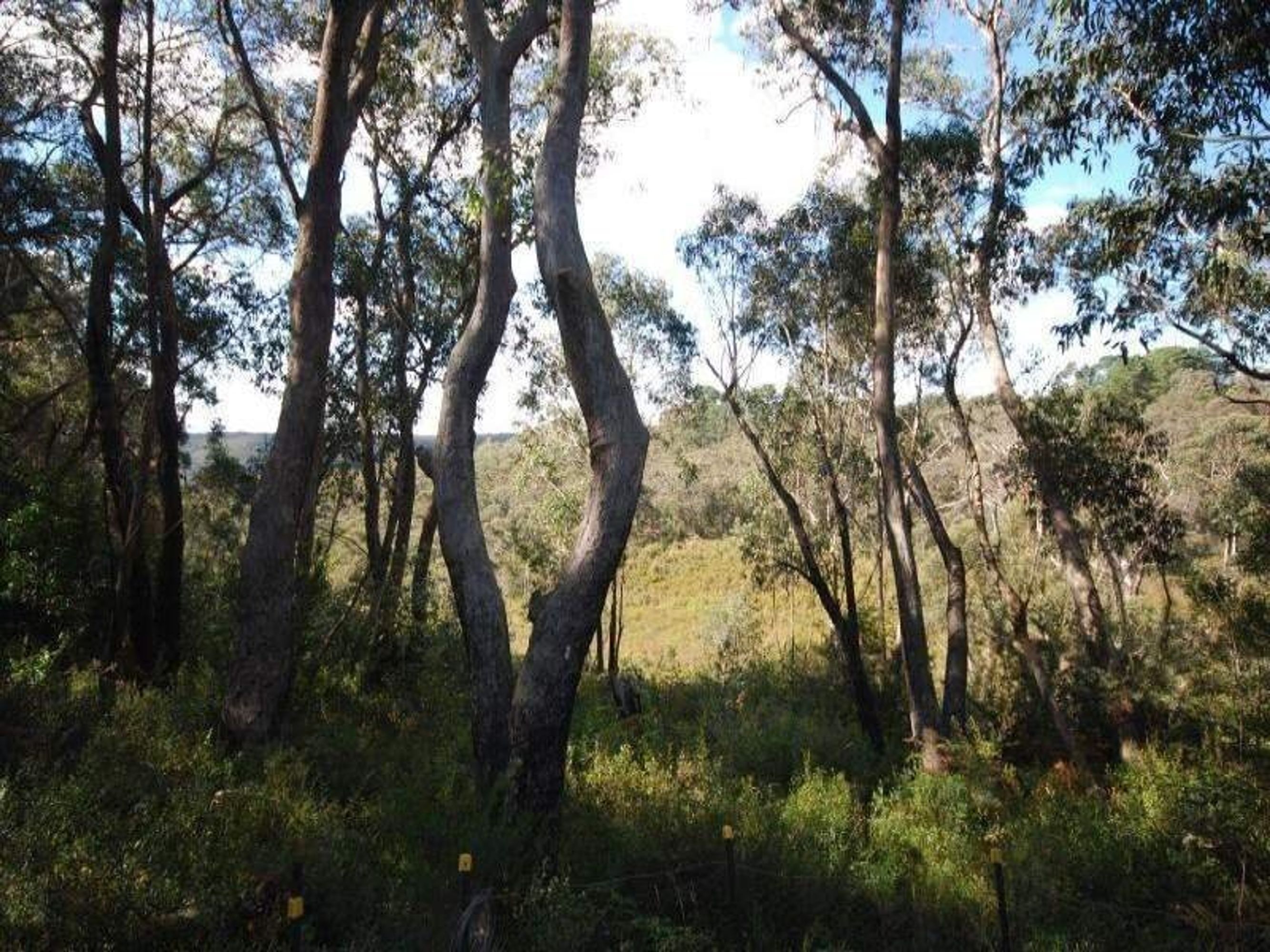 33 Rozelle Street, Wentworth Falls - Thumbnail 2
