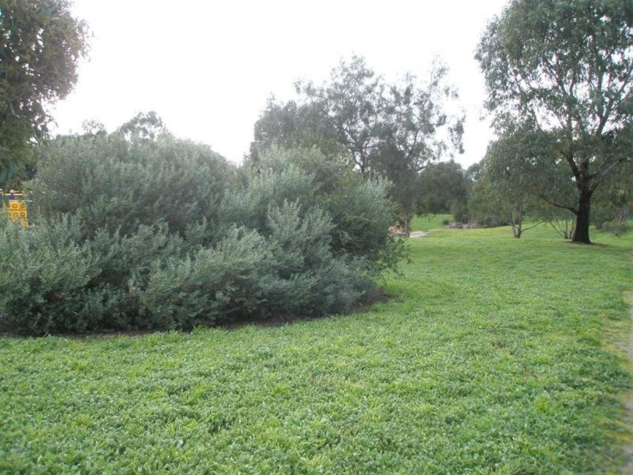 12 Chapman Crescent, Nairne, SA 5252, Nairne - Thumbnail 6