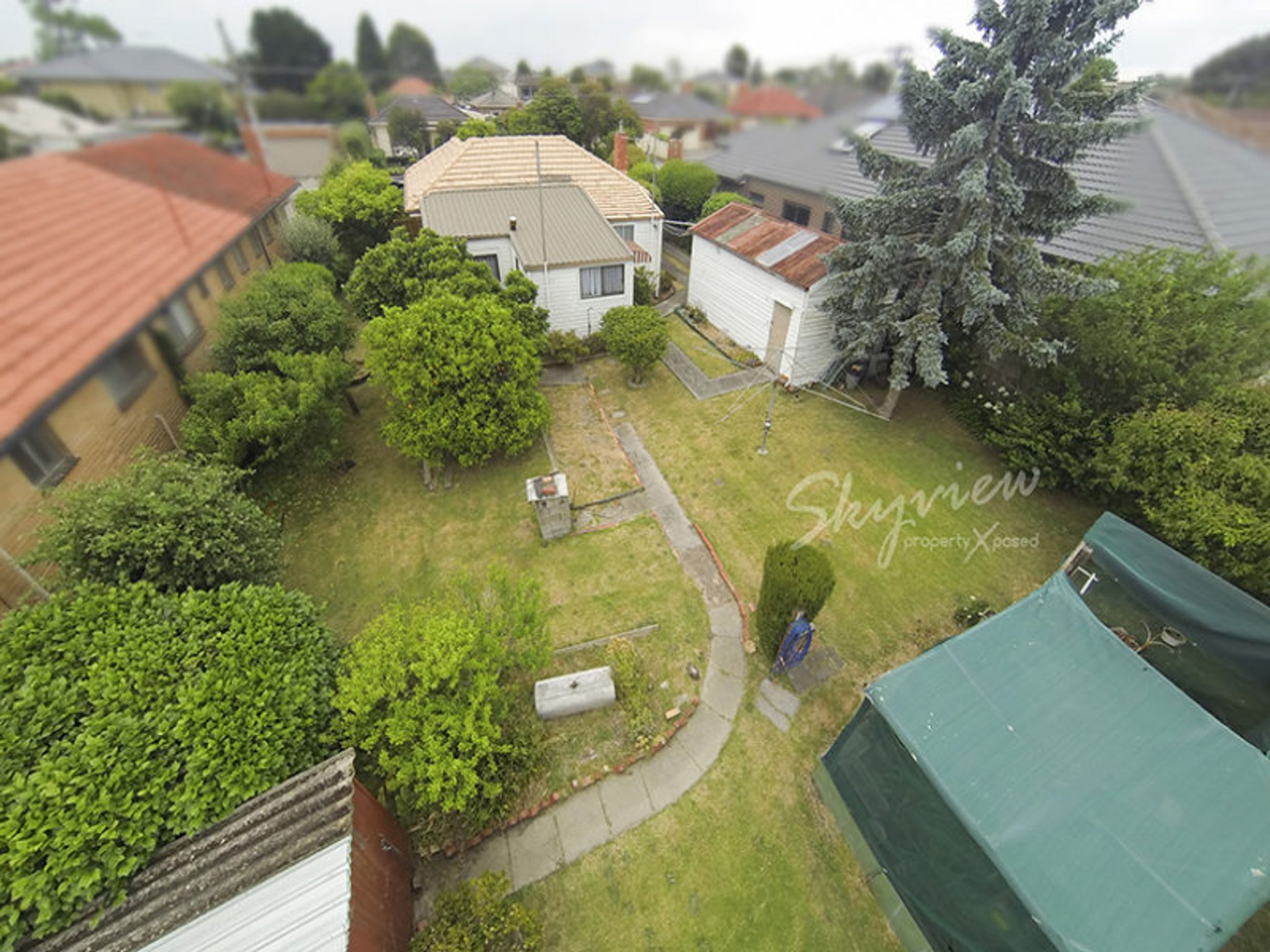16 Andrew Street, Springvale - Thumbnail 4