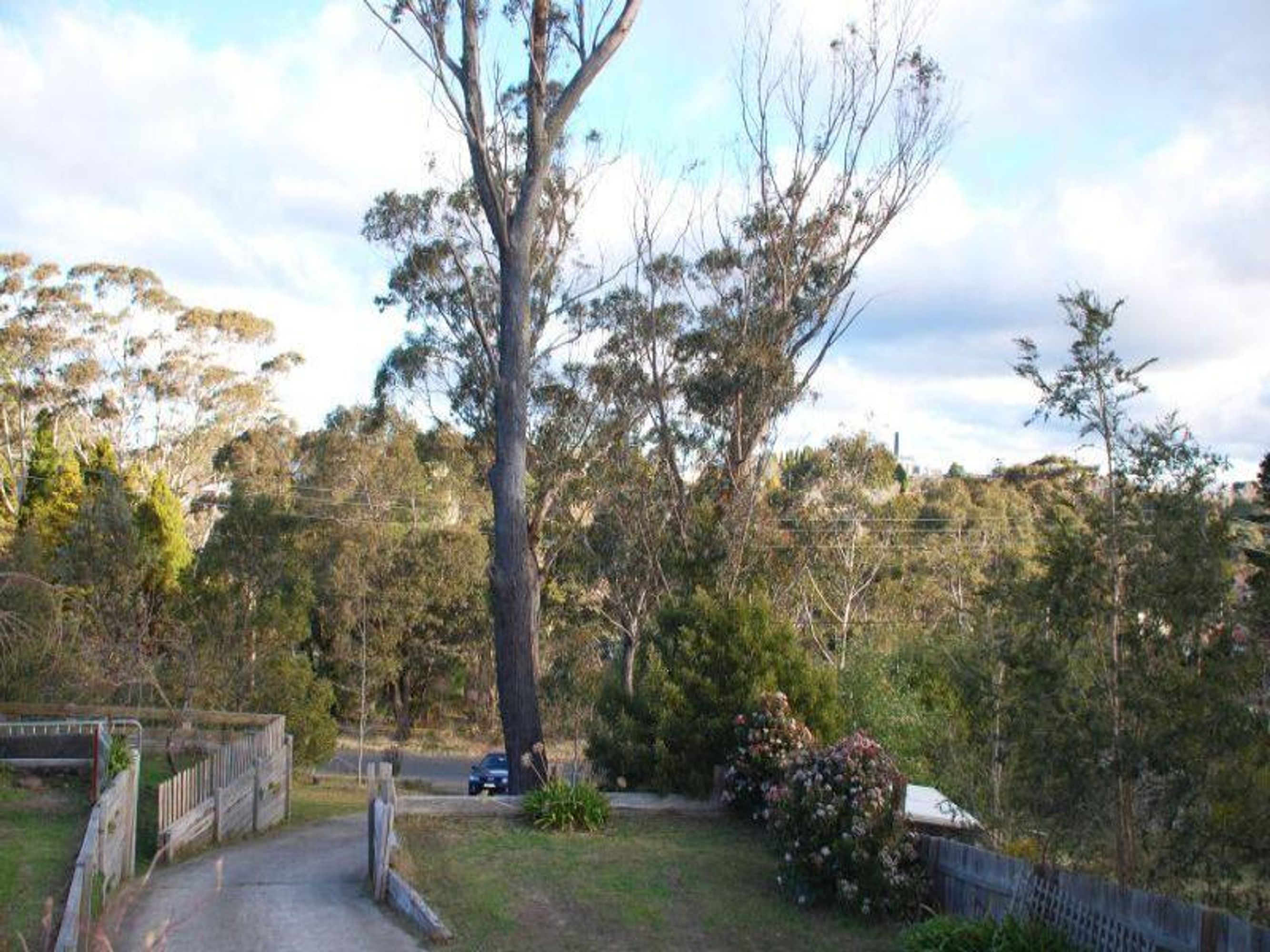 23 Camp St, Katoomba - Thumbnail 6