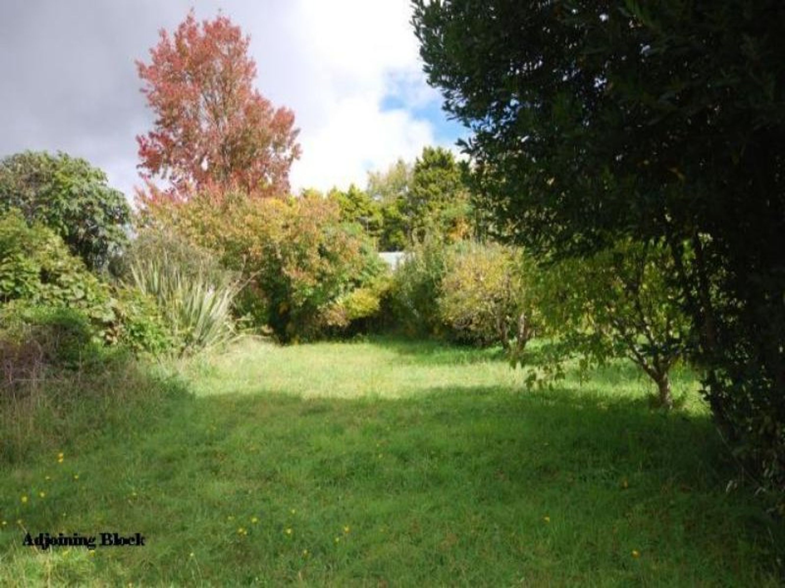 3 Ficus St, Katoomba - Thumbnail 2