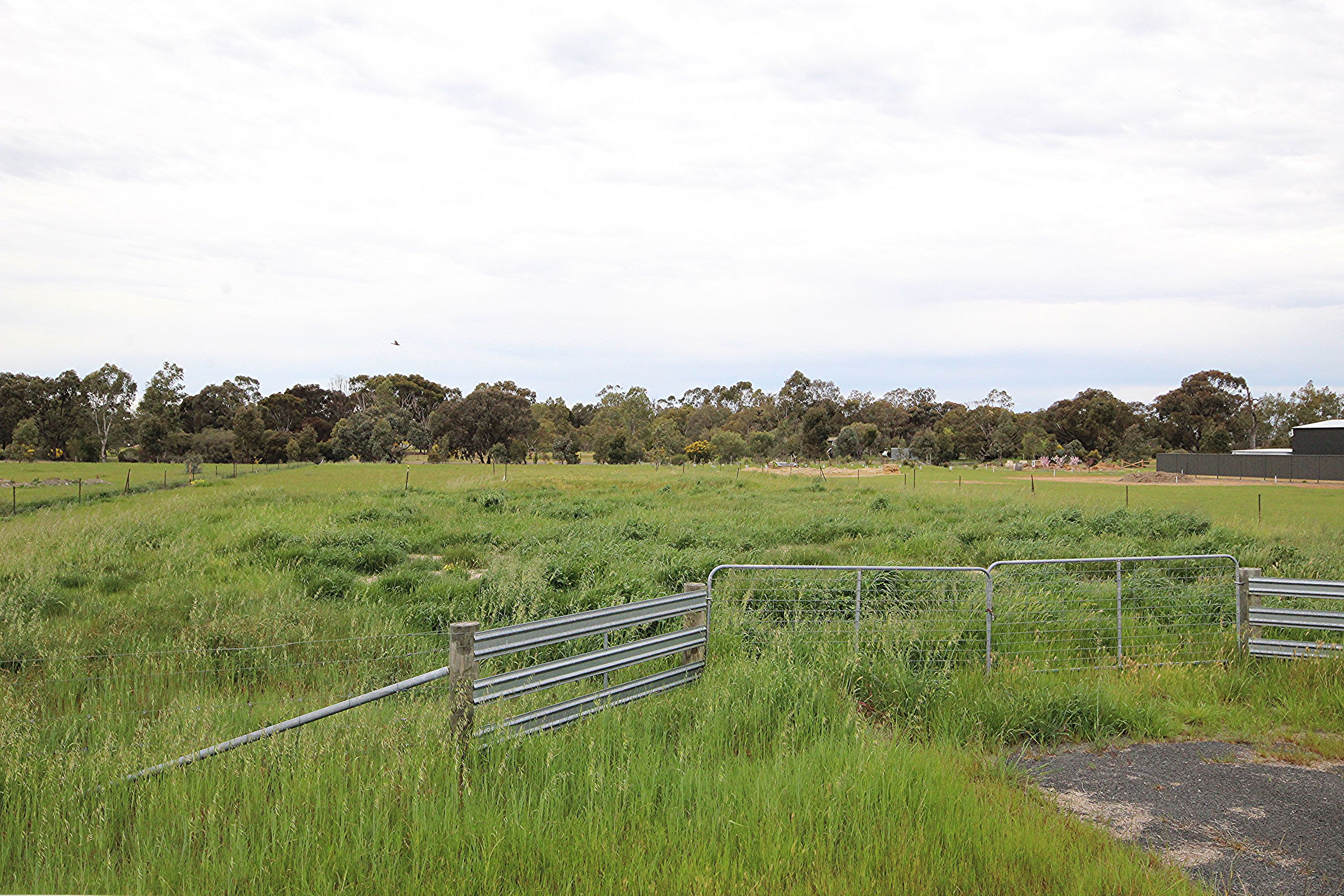 25 Walnut Avenue, Horsham, VIC 3400, Horsham - Thumbnail 3