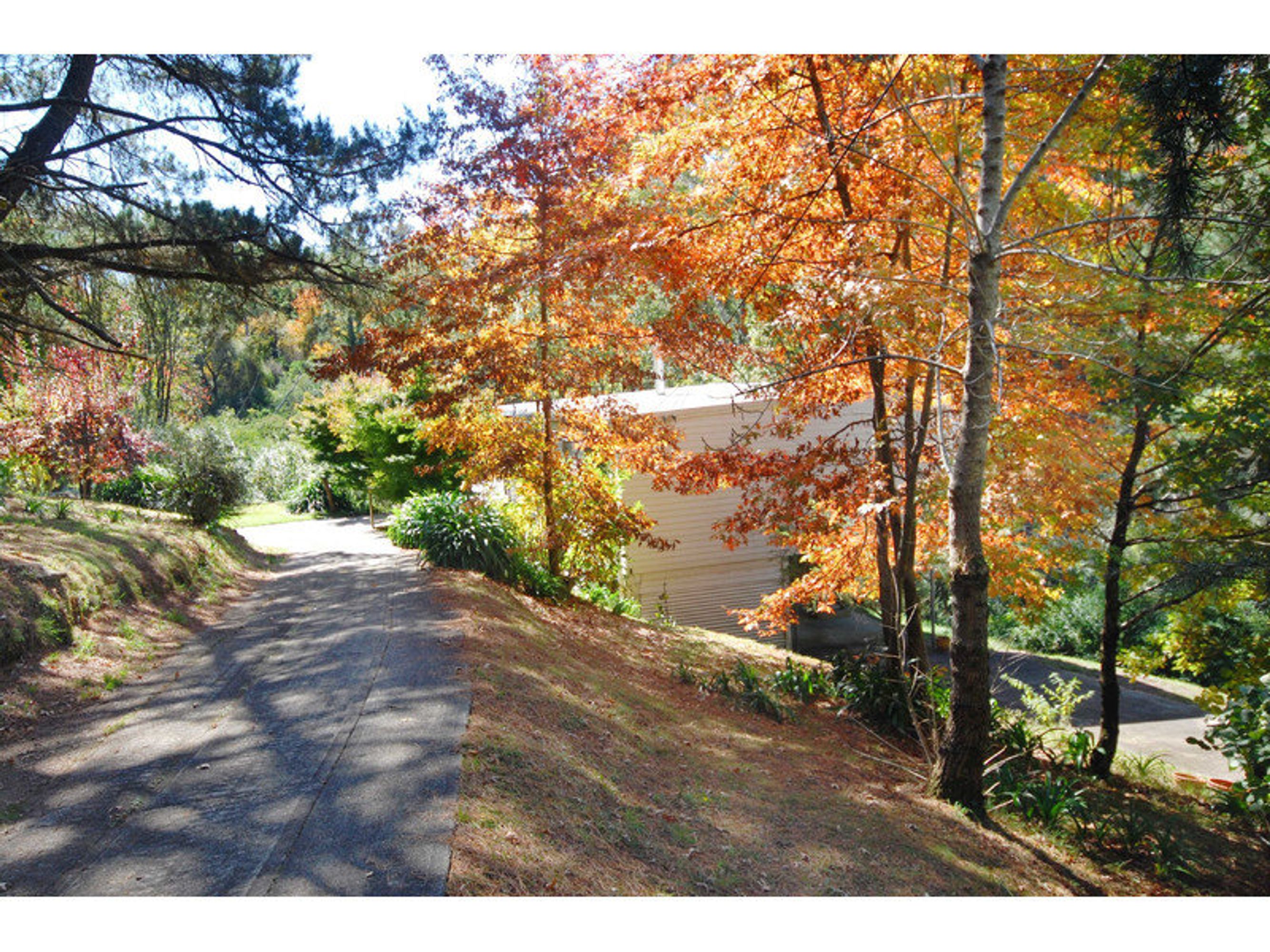 10D Warne Street, Katoomba - Thumbnail 2