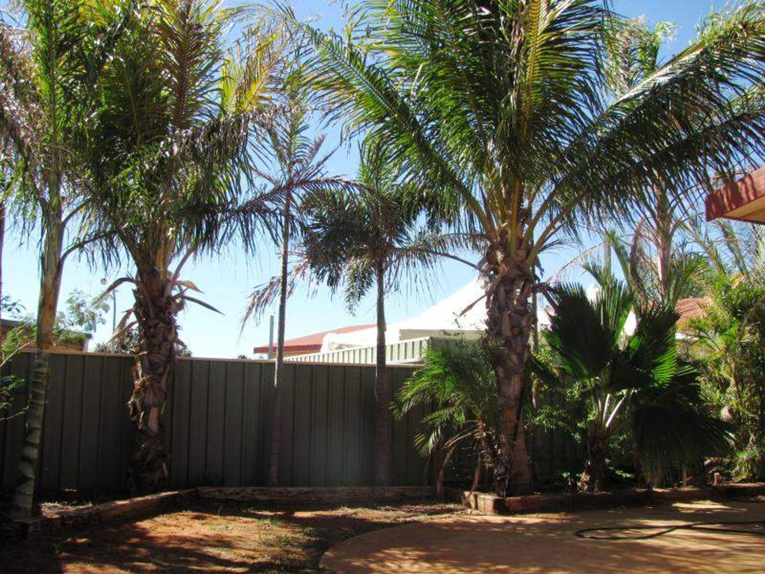 33 Paton Road, South Hedland, South Hedland - Thumbnail 3