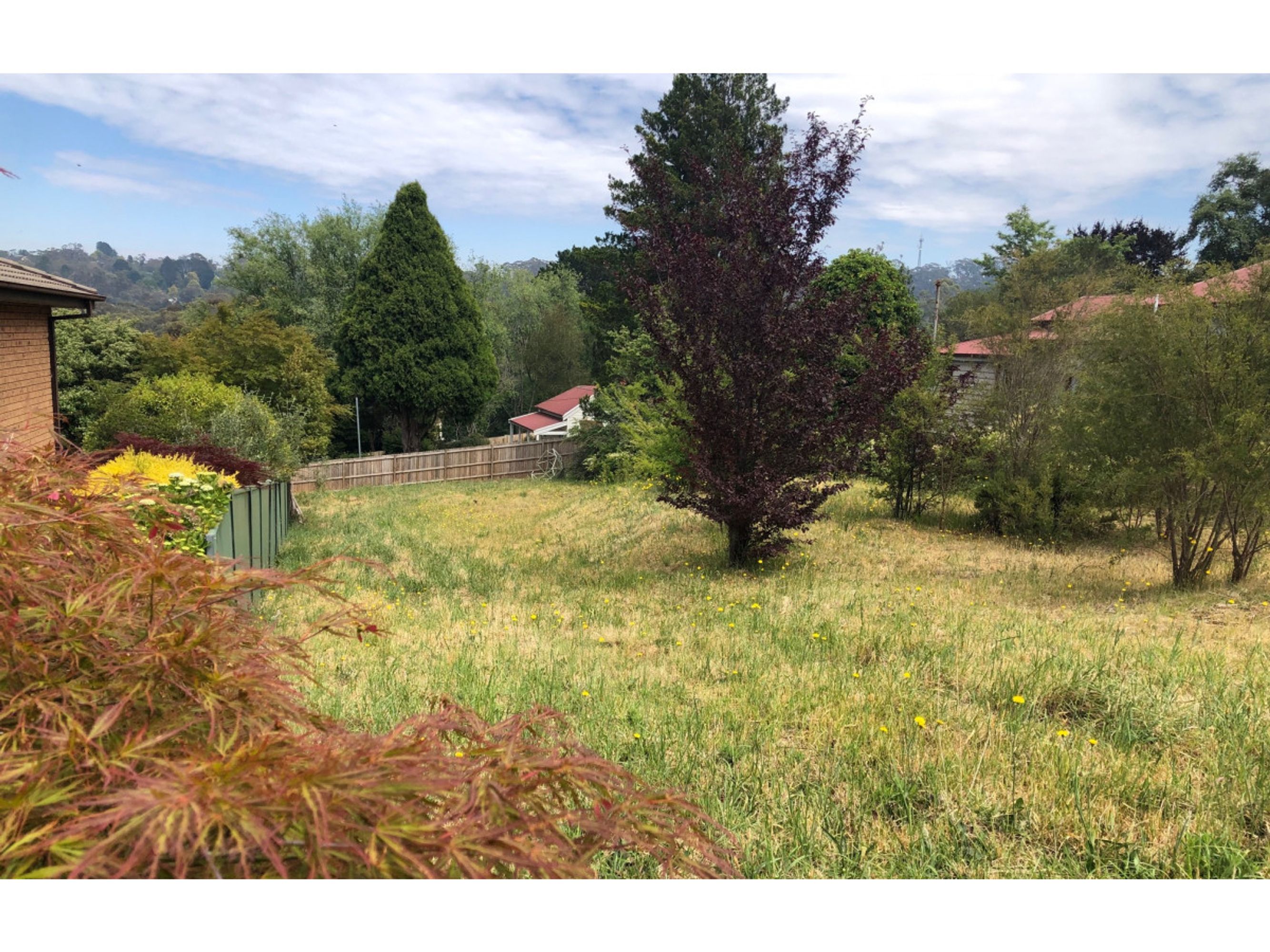 77 Cascade Street, Katoomba - Thumbnail 5