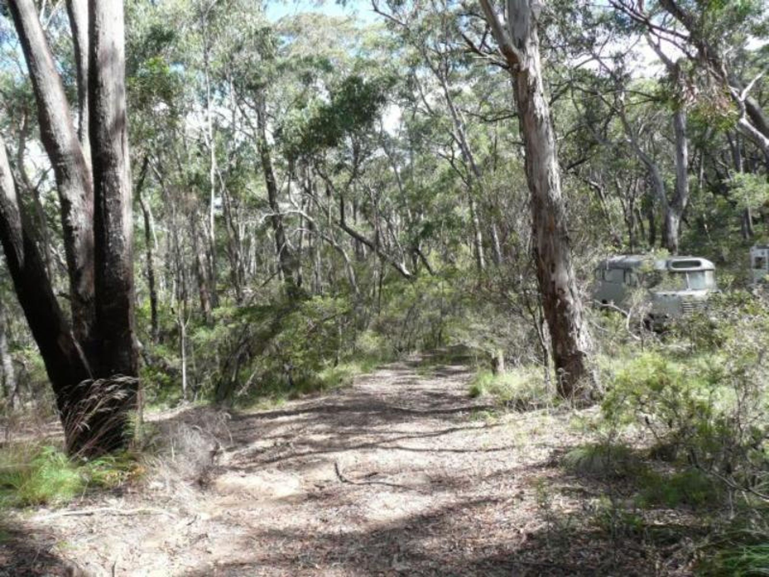 49 Salisbury Ave, Mount Victoria - Thumbnail 3