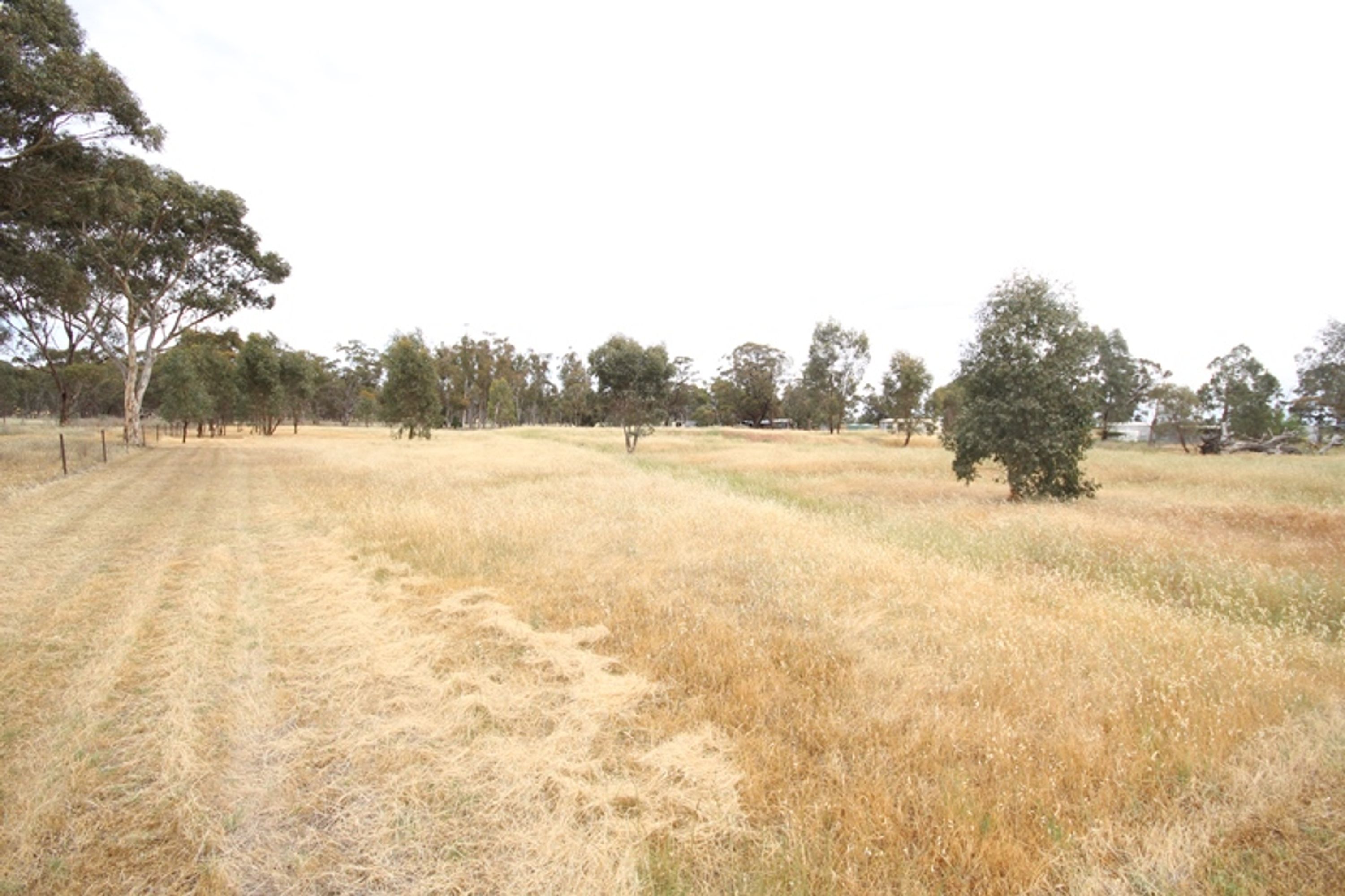 41 Wonwondah-Toolondo Road, Wonwondah VIC 3401, Wonwondah - Thumbnail 5