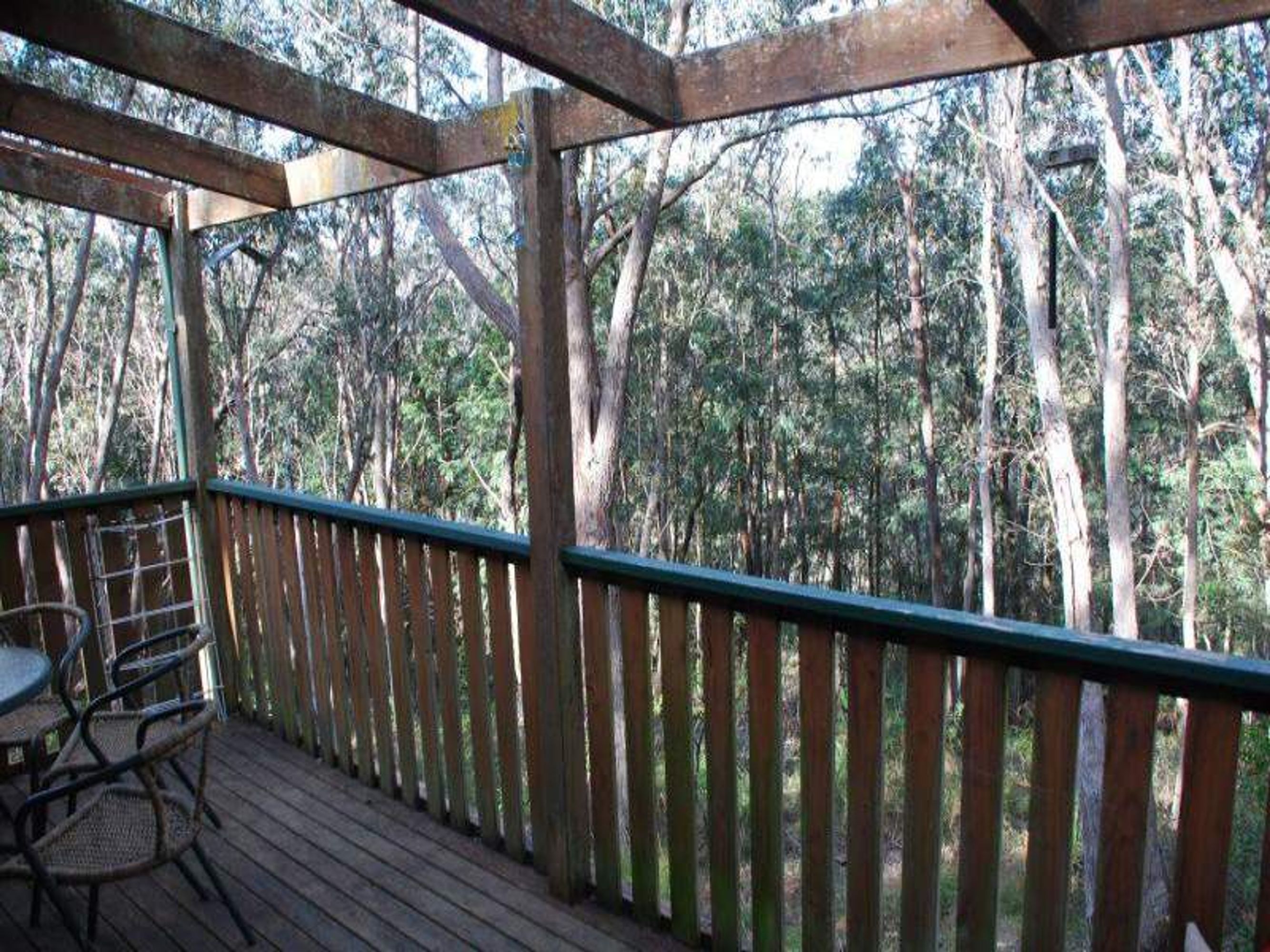 49 Seventh Ave, Katoomba - Thumbnail 3
